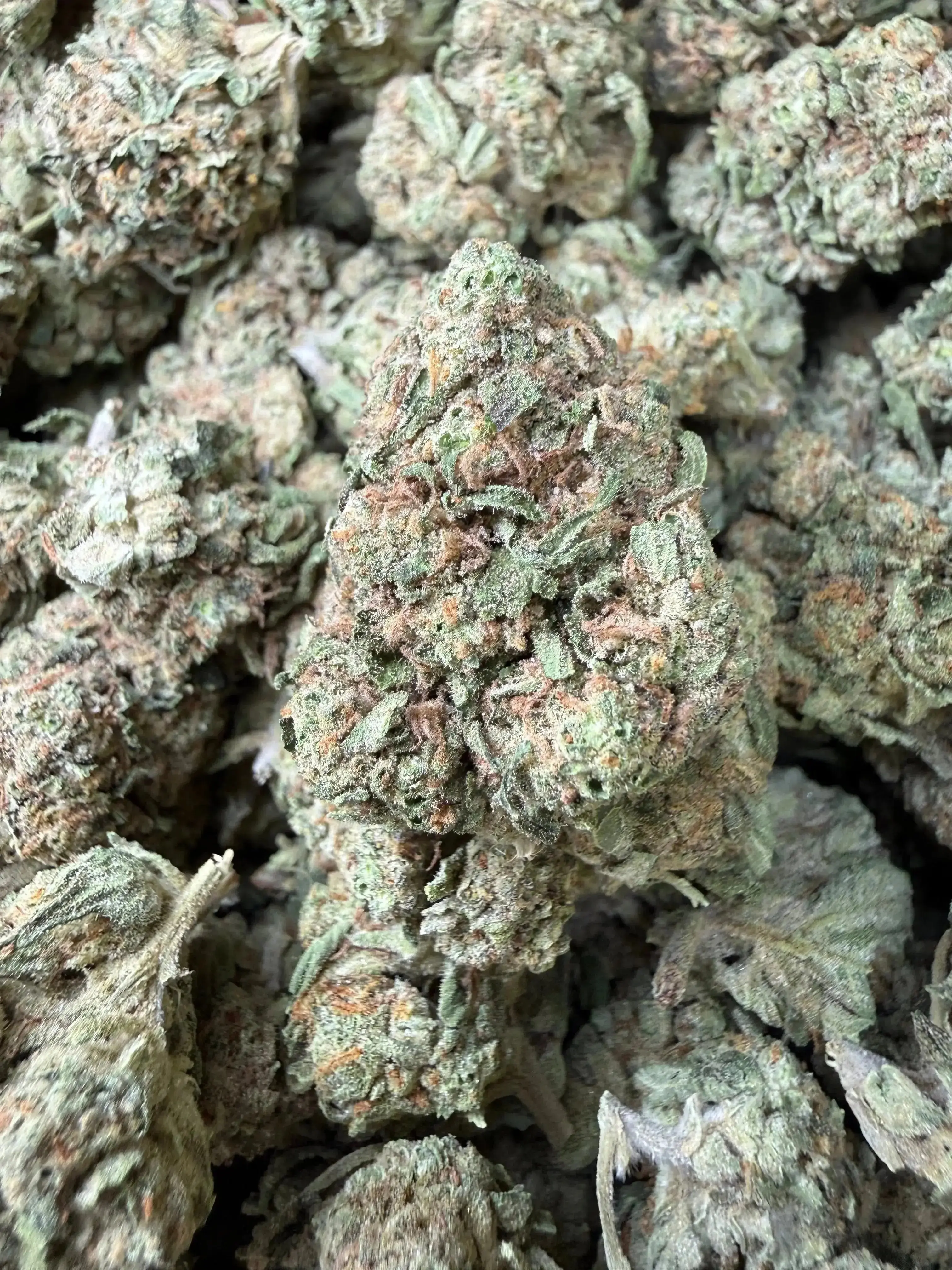 1 Pound -  Guava Gas Station Strain - Image 2