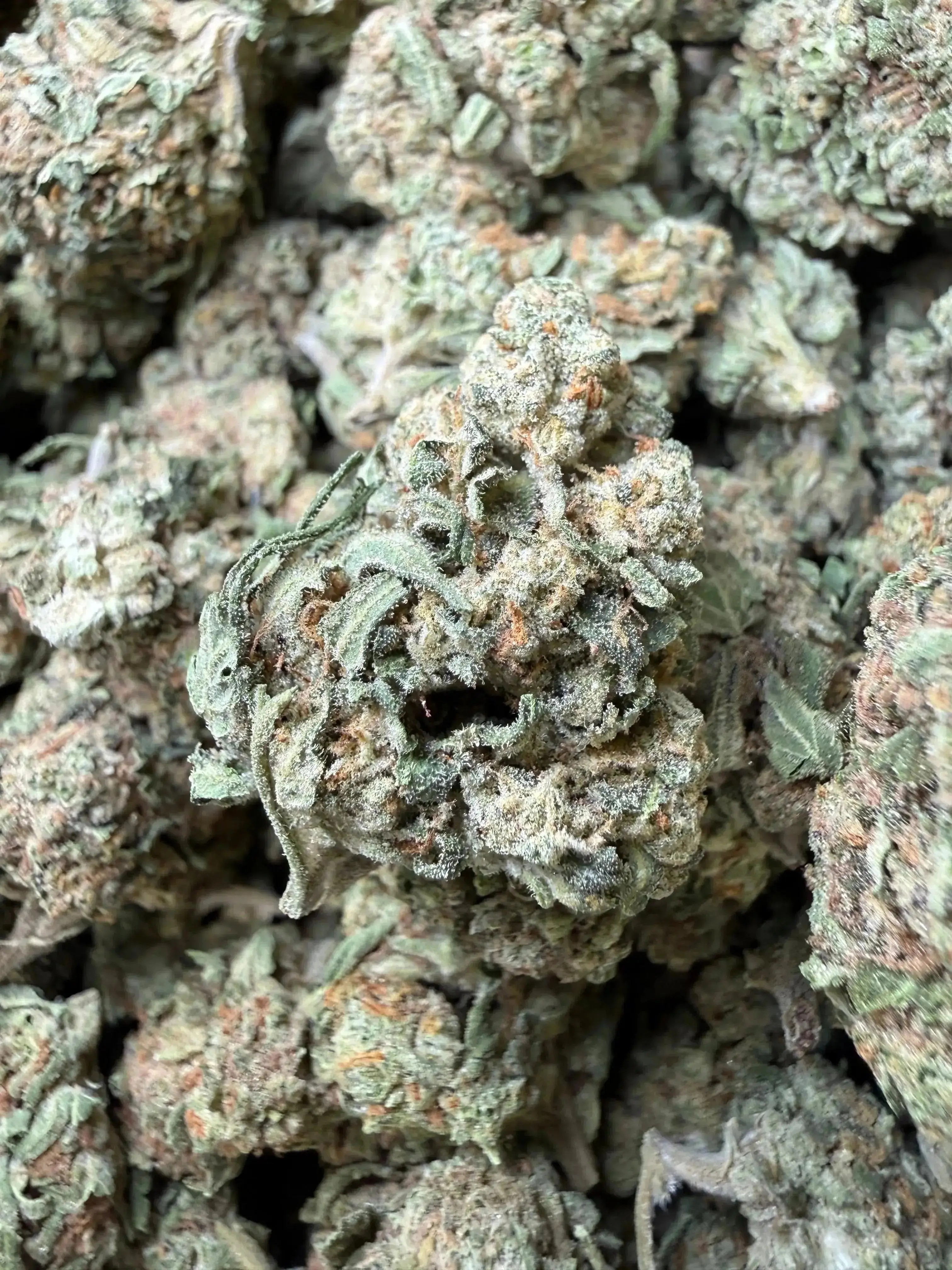 1 Pound -  Guava Gas Station Strain - Image 3