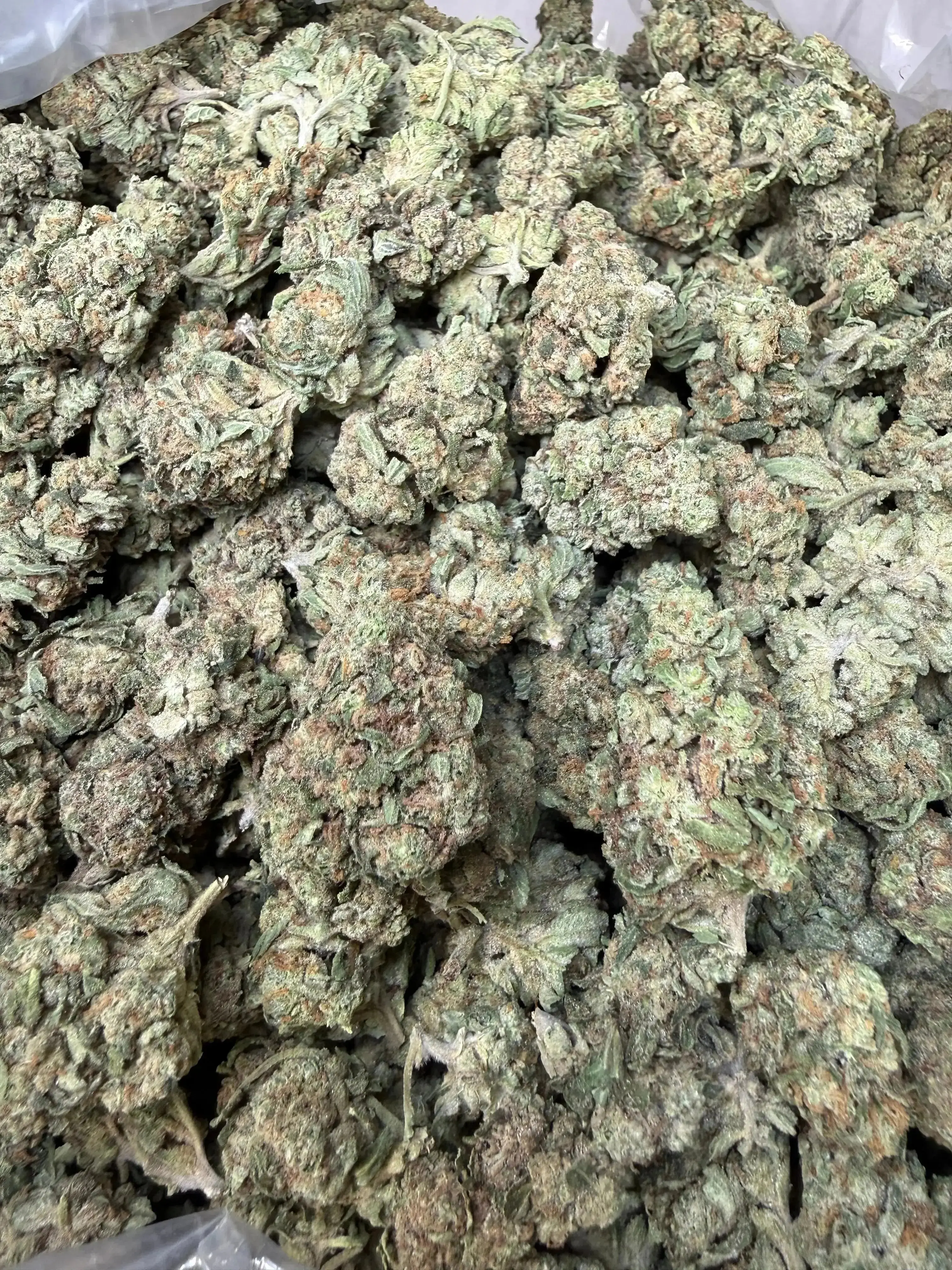 1 Pound -  Guava Gas Station Strain - Image 4