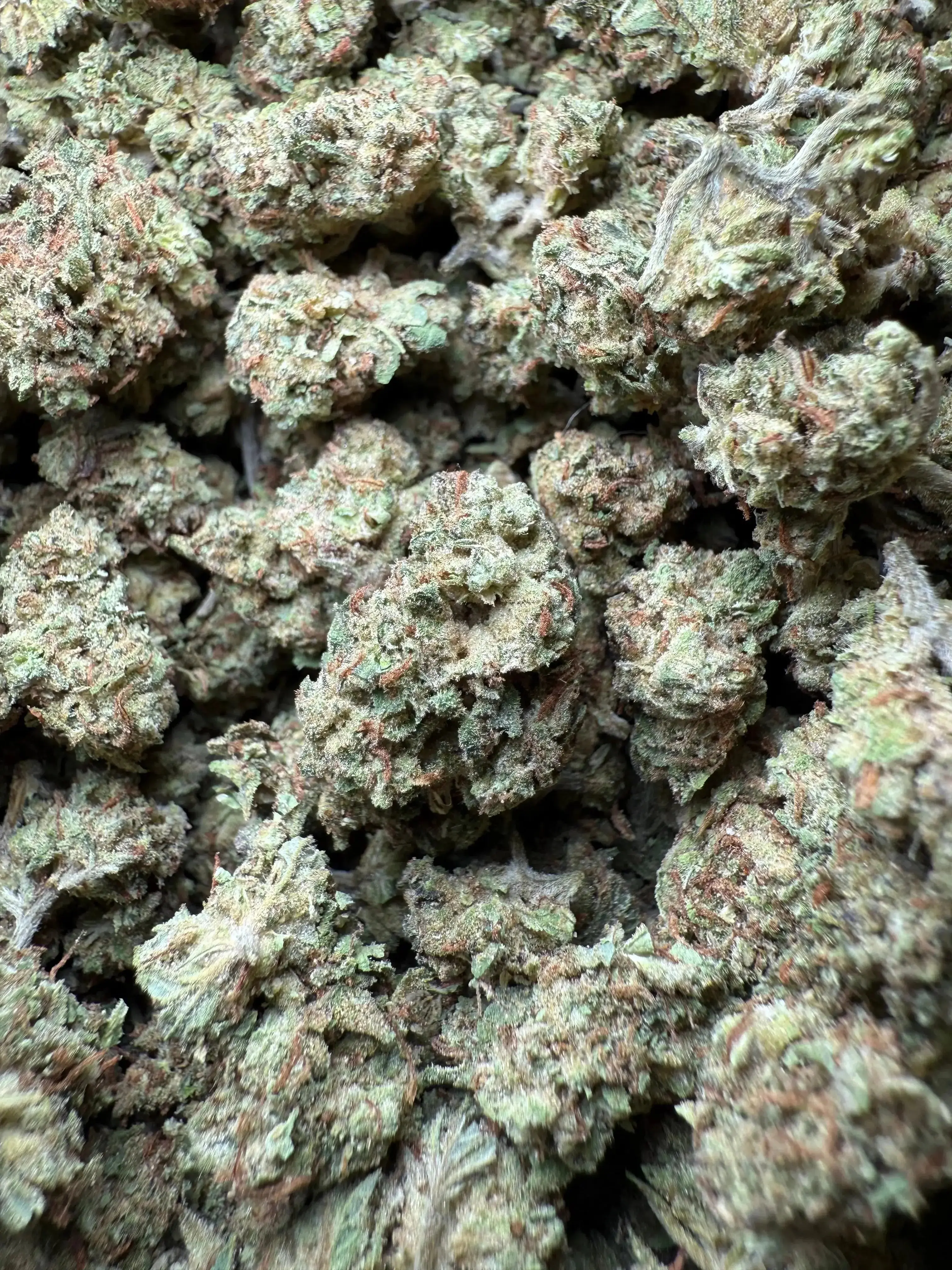 1 Pound Han Solo THCA (Smalls) - Image 2