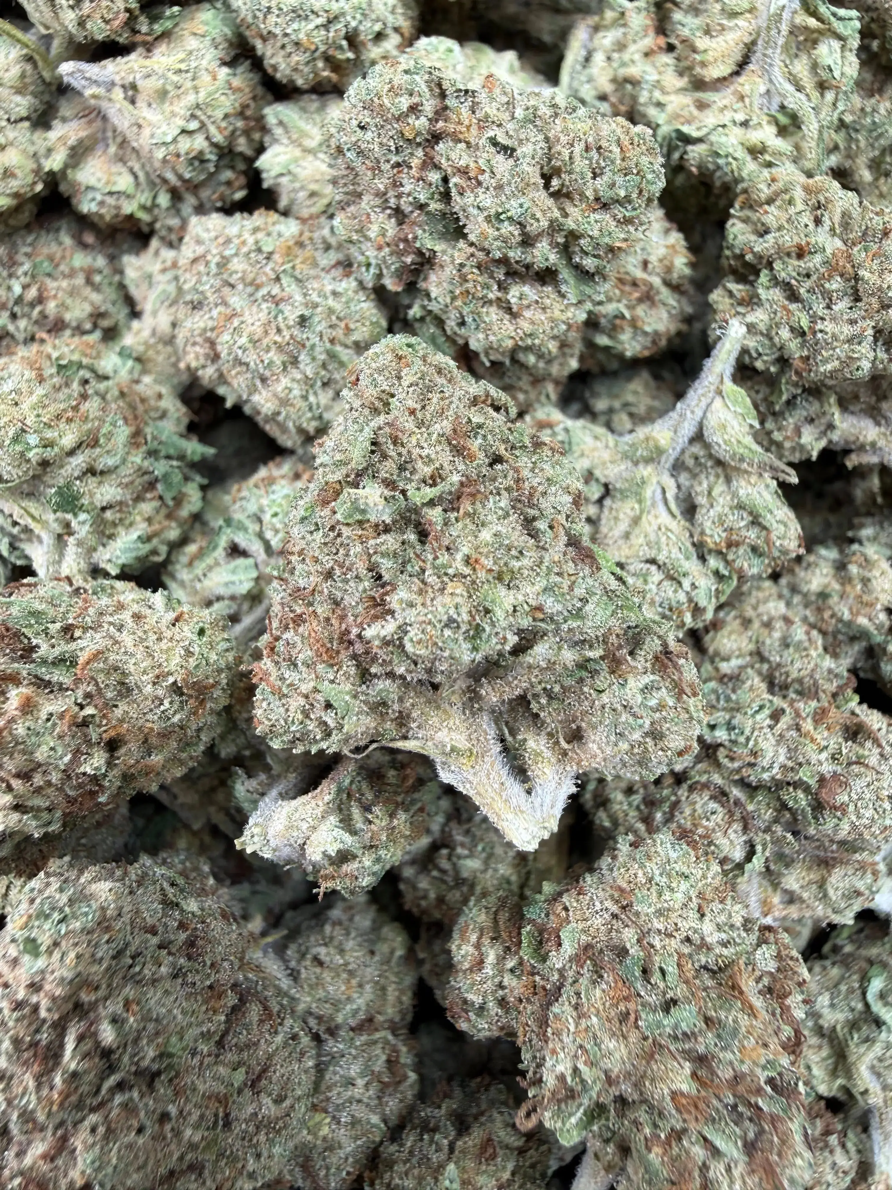 1 Pound - Permanent Marker THCA Flower - Image 3
