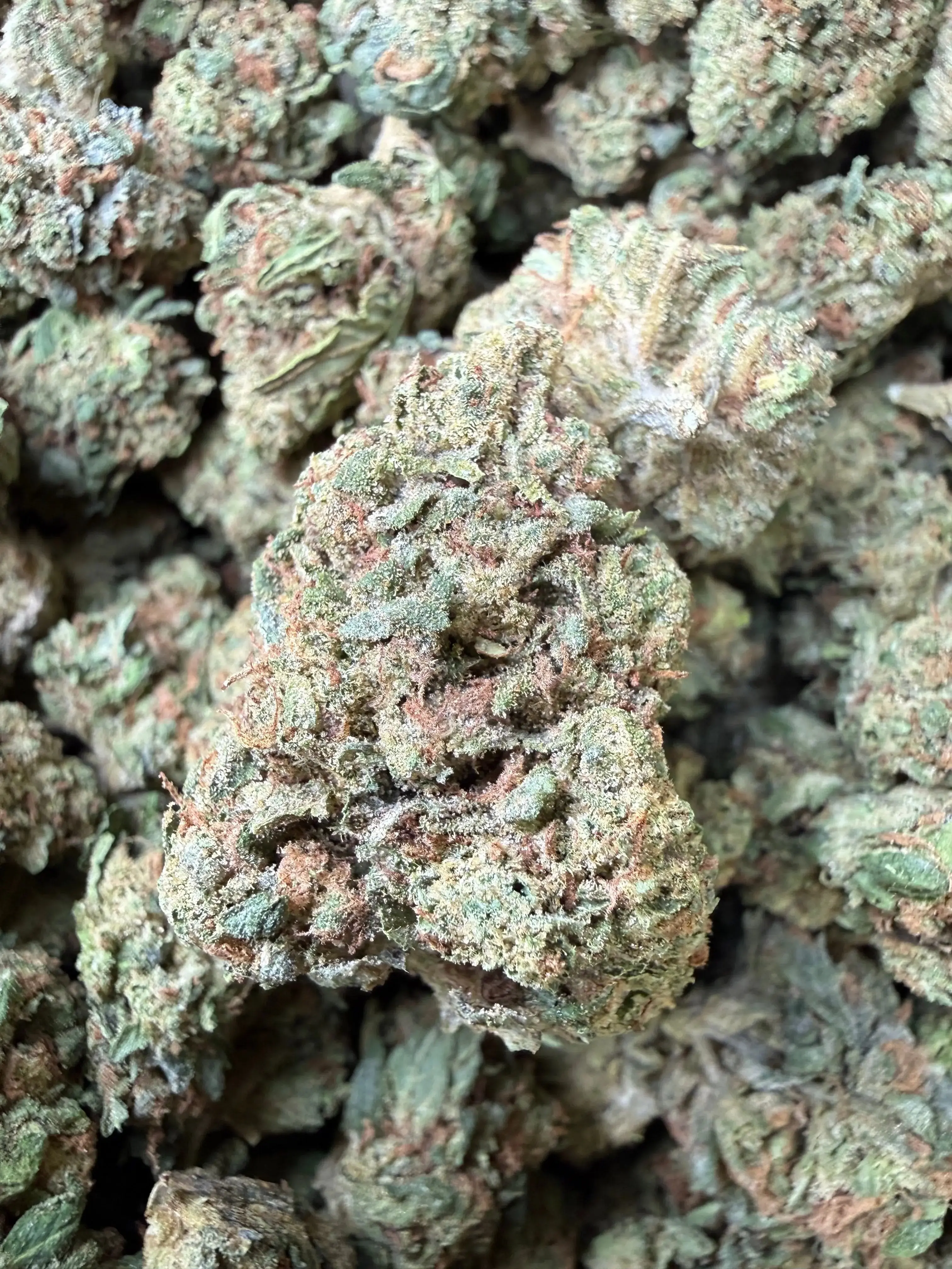 1 Pound -  Super Wu Tang OG Strain - Image 2