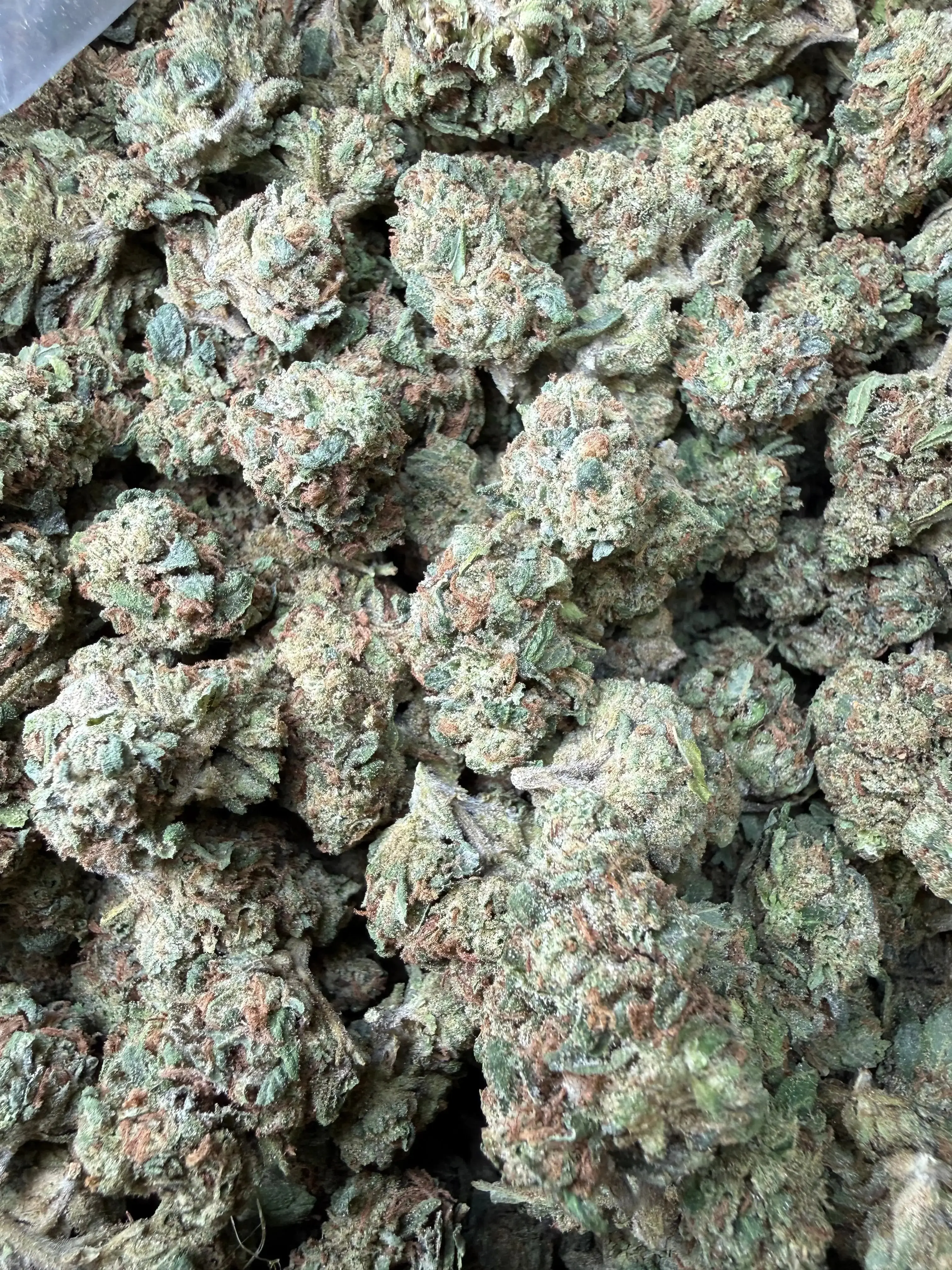 1 Pound -  Super Wu Tang OG Strain - Image 3