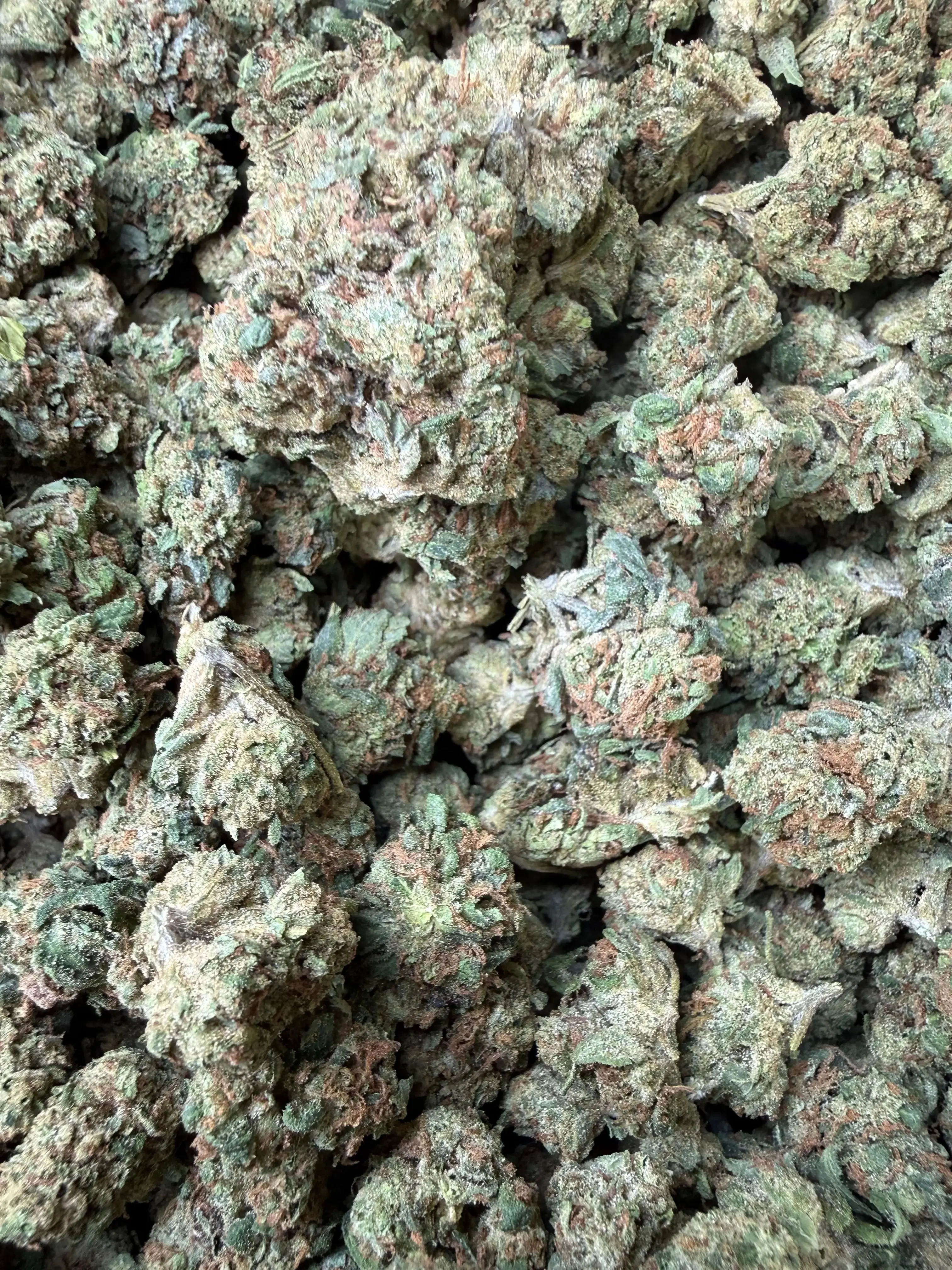 1 Pound -  Super Wu Tang OG Strain - Image 4