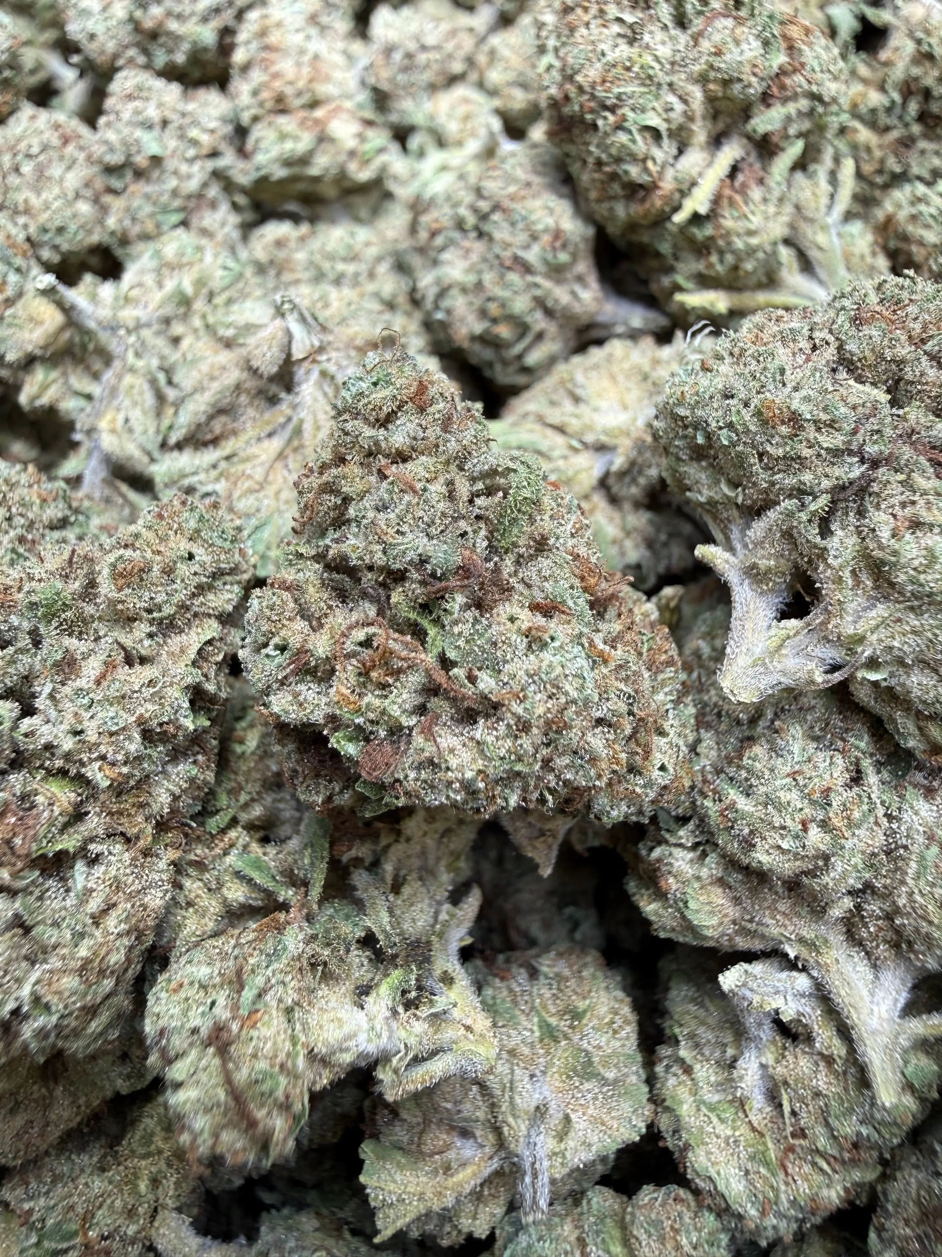 1 Pound - Permanent Chimera THCA Flower - Image 3