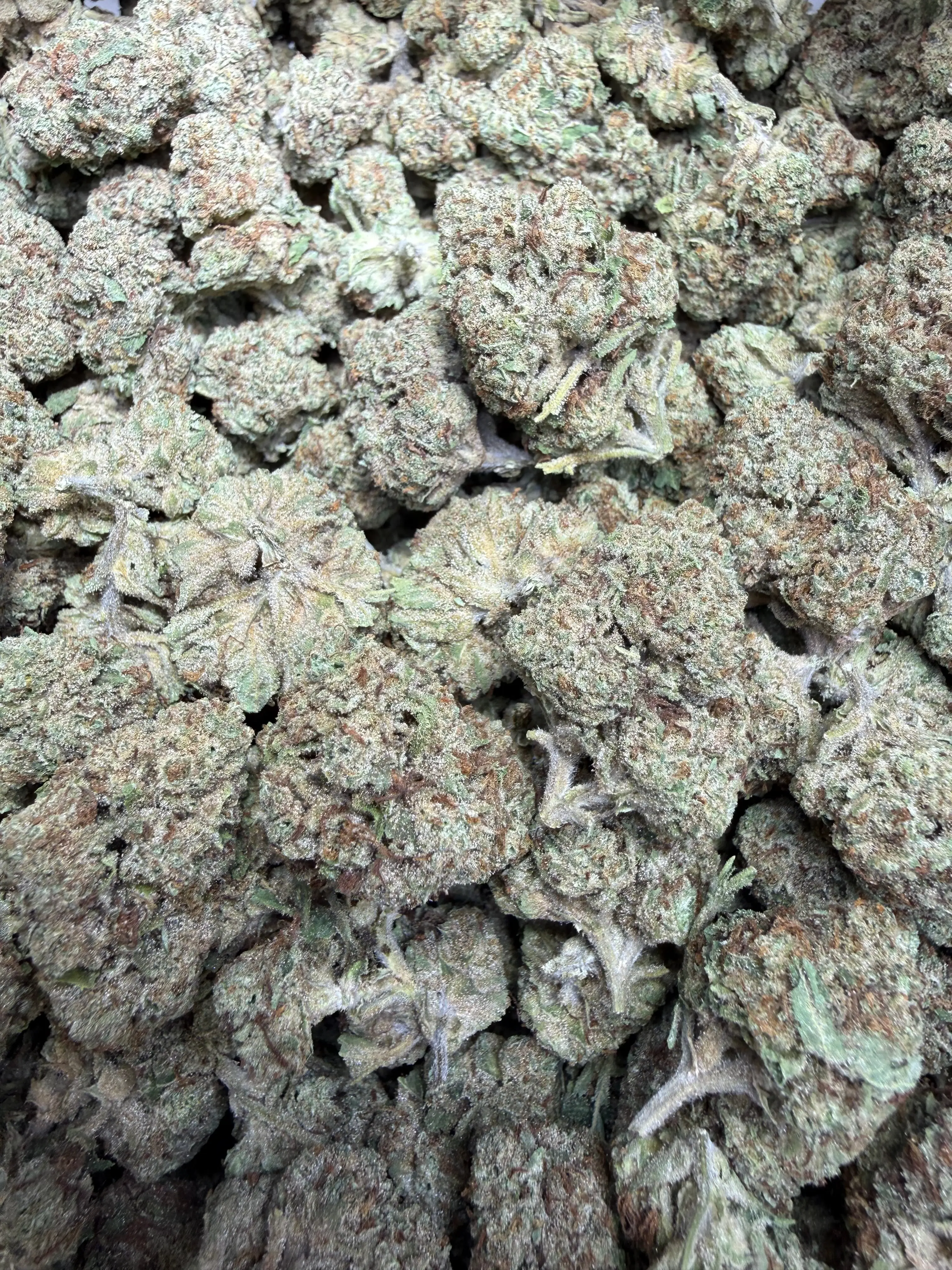 1 Pound - Permanent Chimera THCA Flower - Image 4