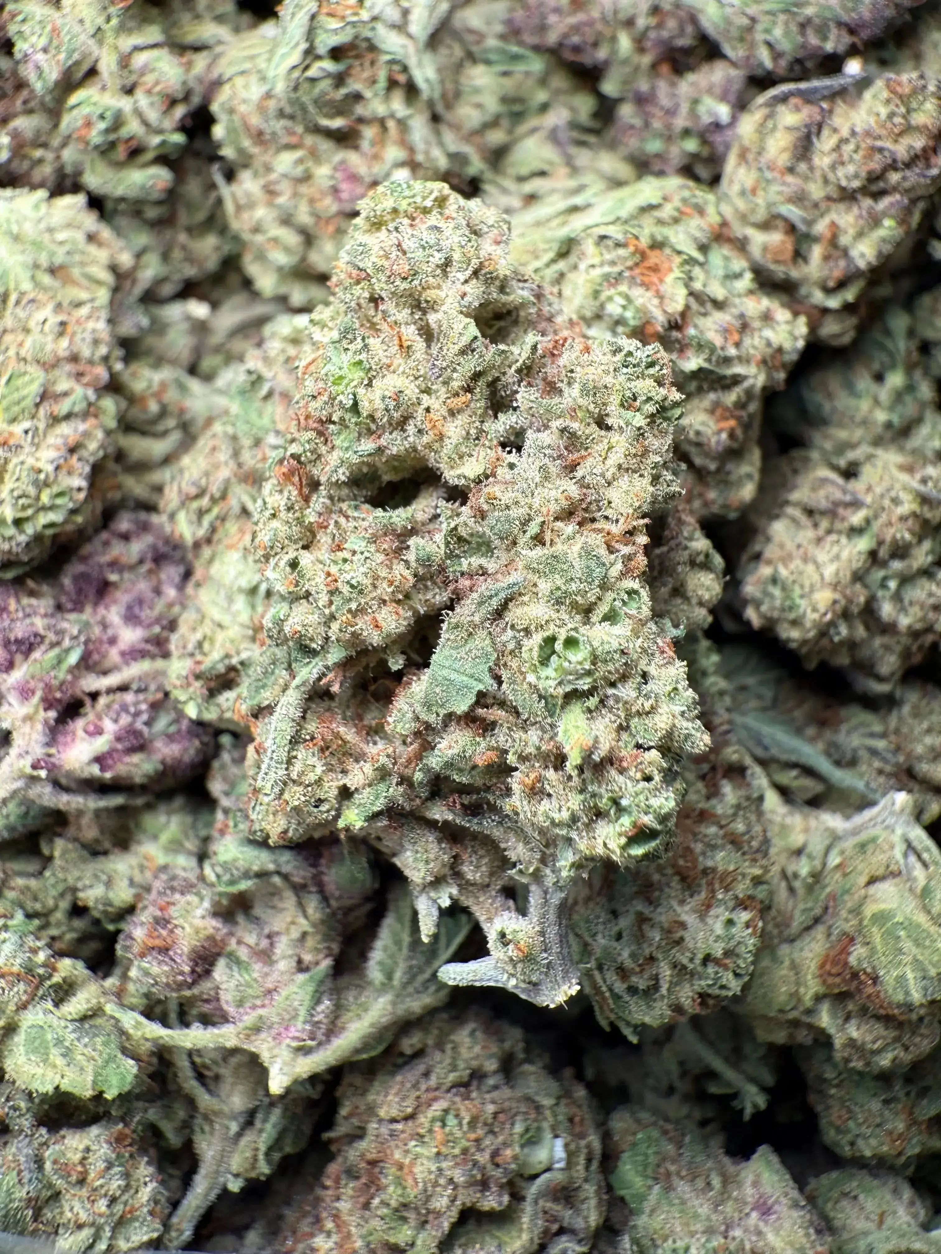 1/4 Pound Black Afghan THCA - Image 2