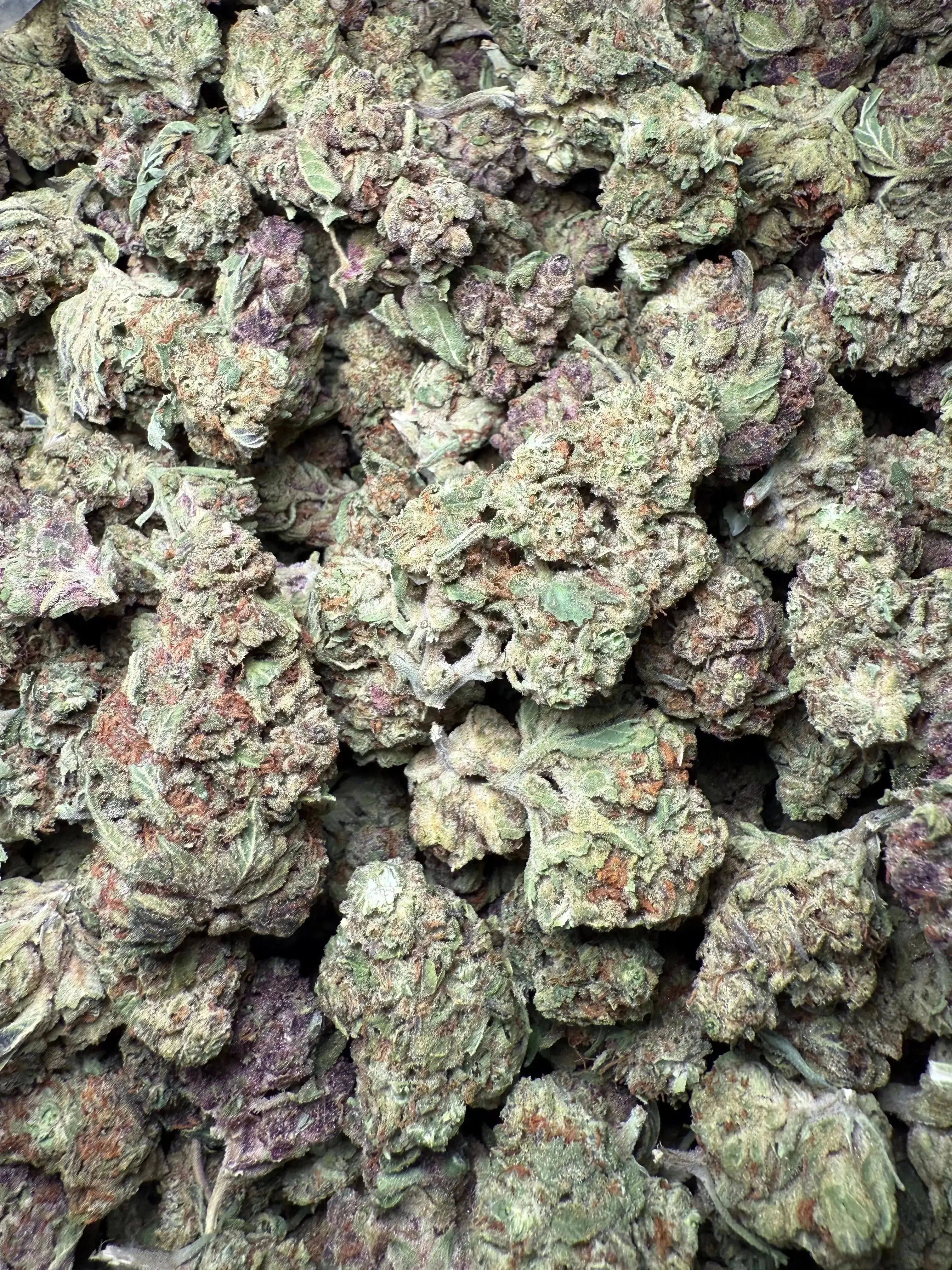 1/4 Pound Black Afghan THCA - Image 3