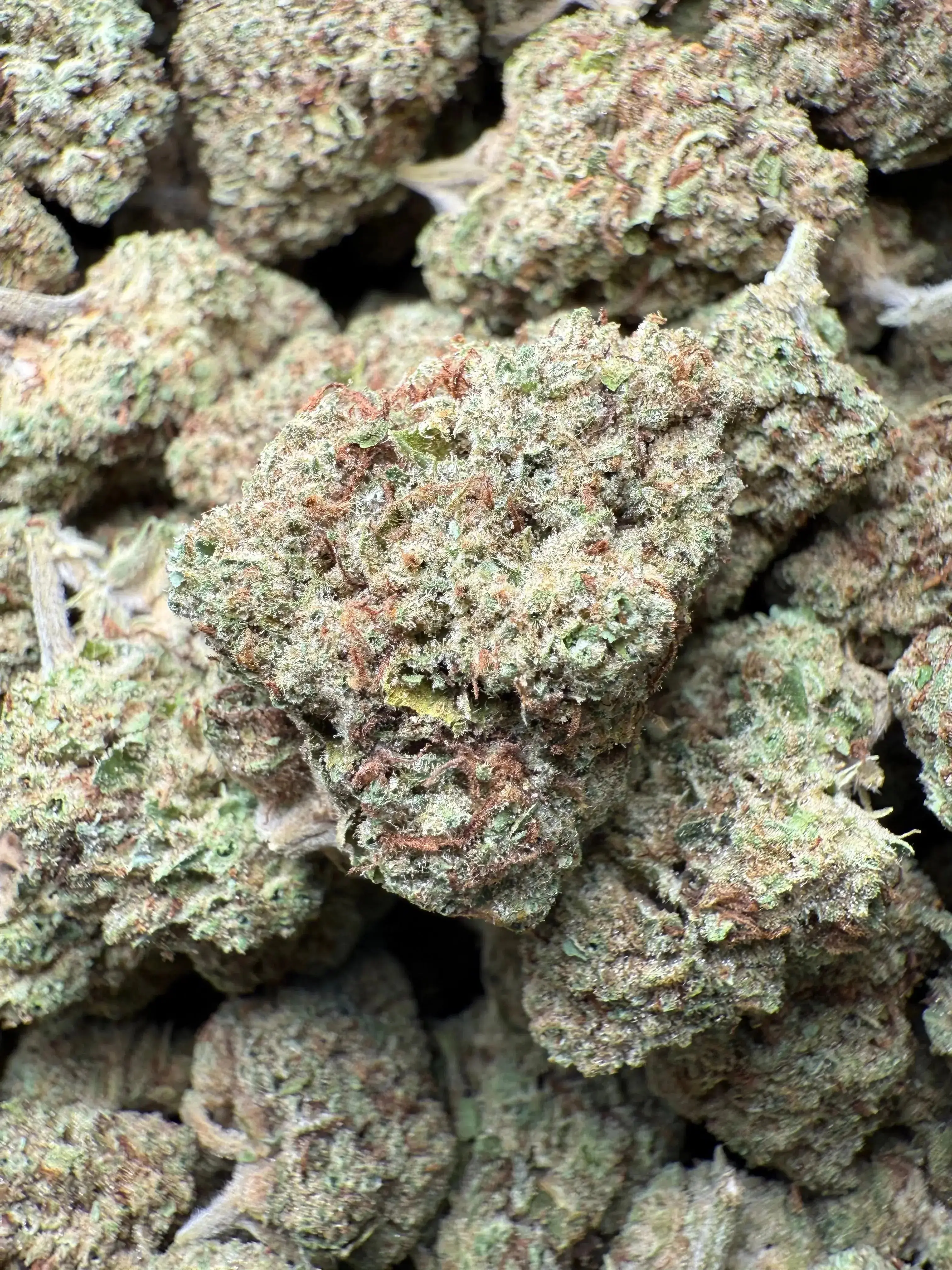 1/2 Pound Black Widow THCA - Image 2