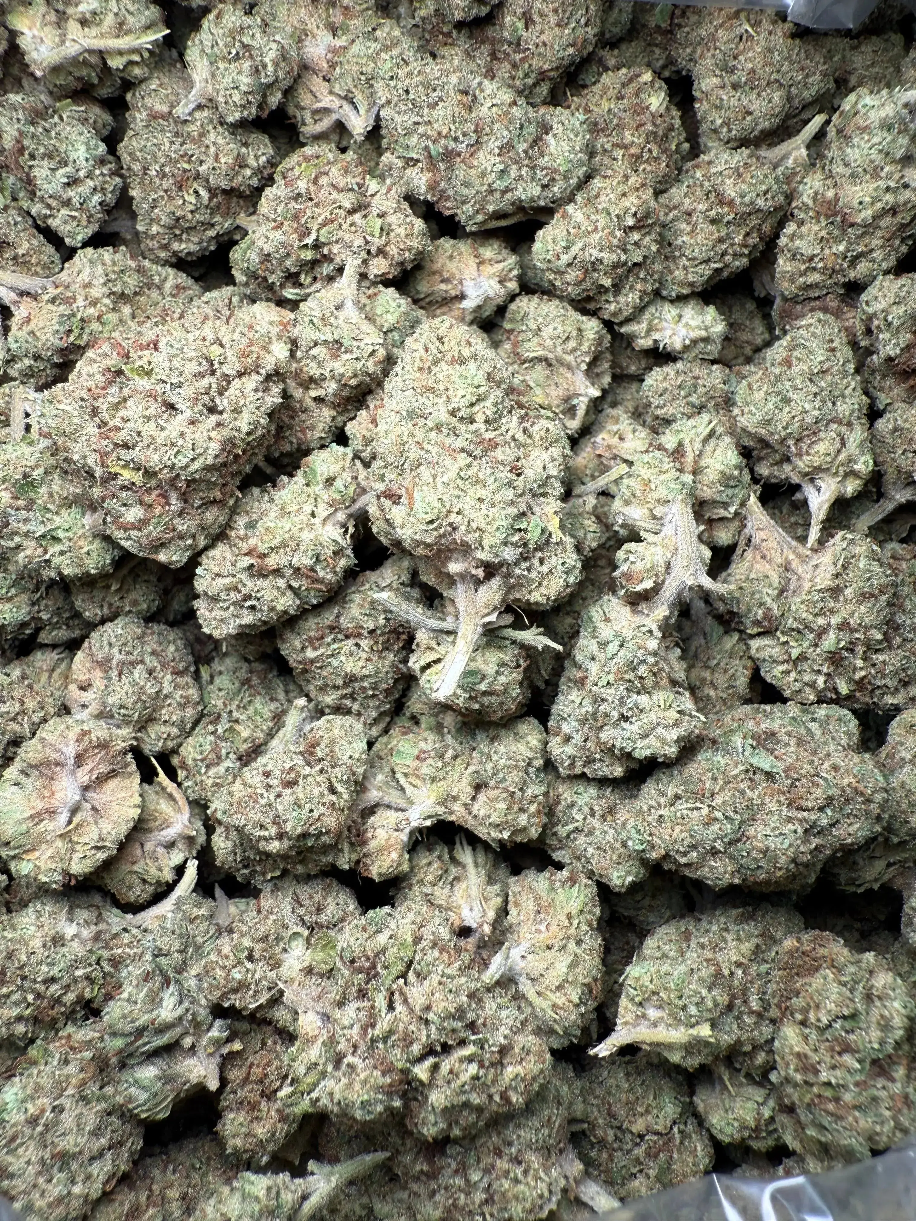 1/2 Pound Black Widow THCA - Image 3