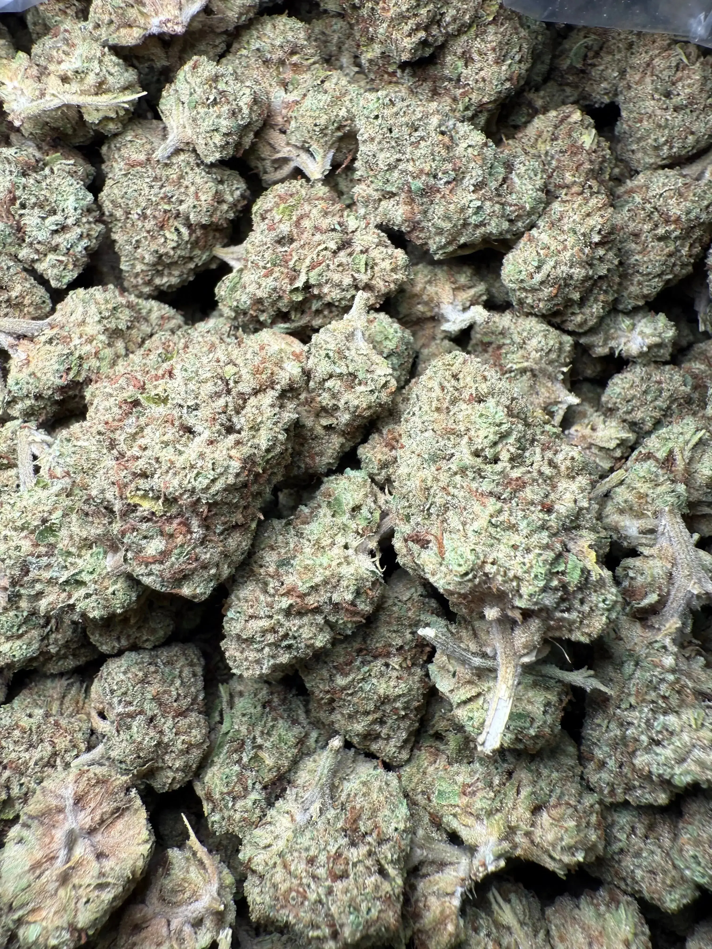 1/2 Pound Black Widow THCA - Image 4