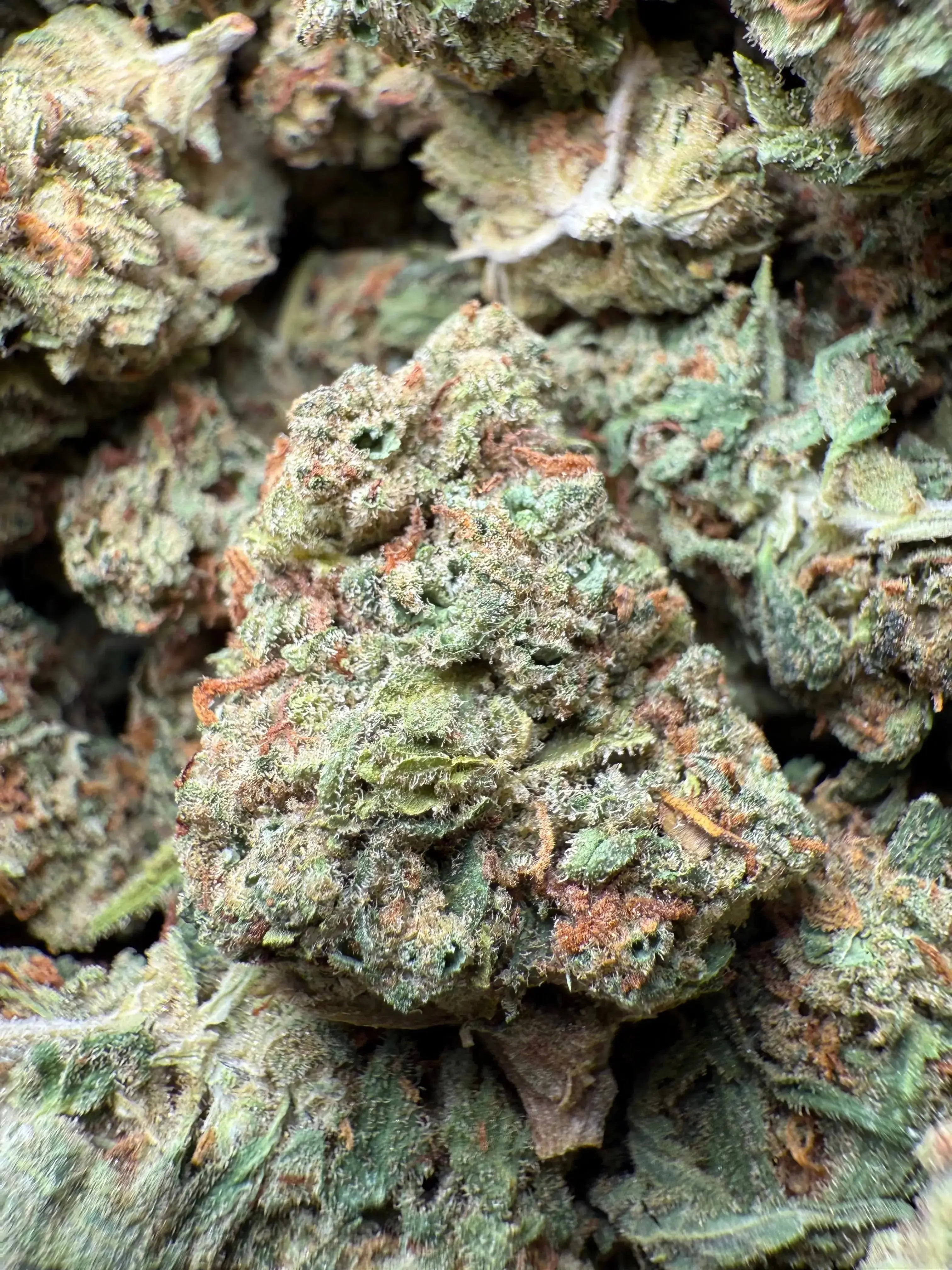 1/2 Pound Bubble Yum THCA - Image 2