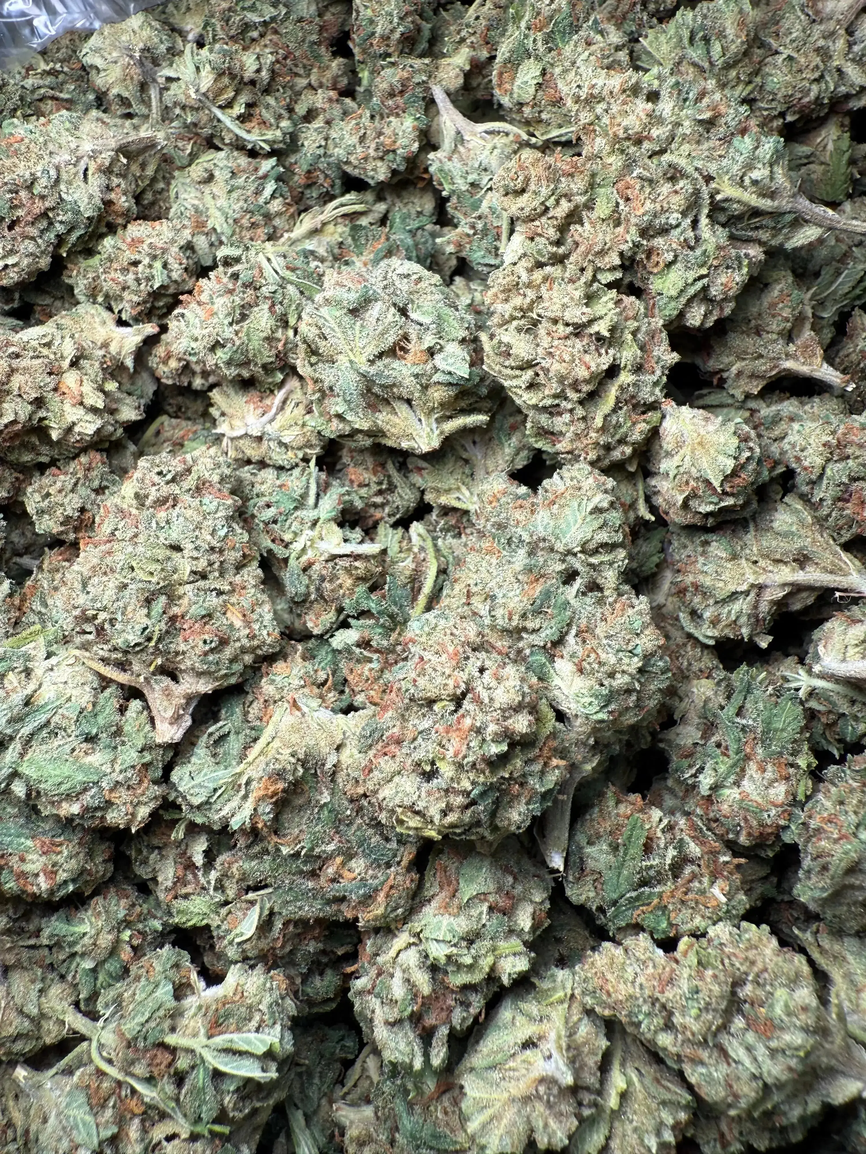 1/2 Pound Bubble Yum THCA - Image 3