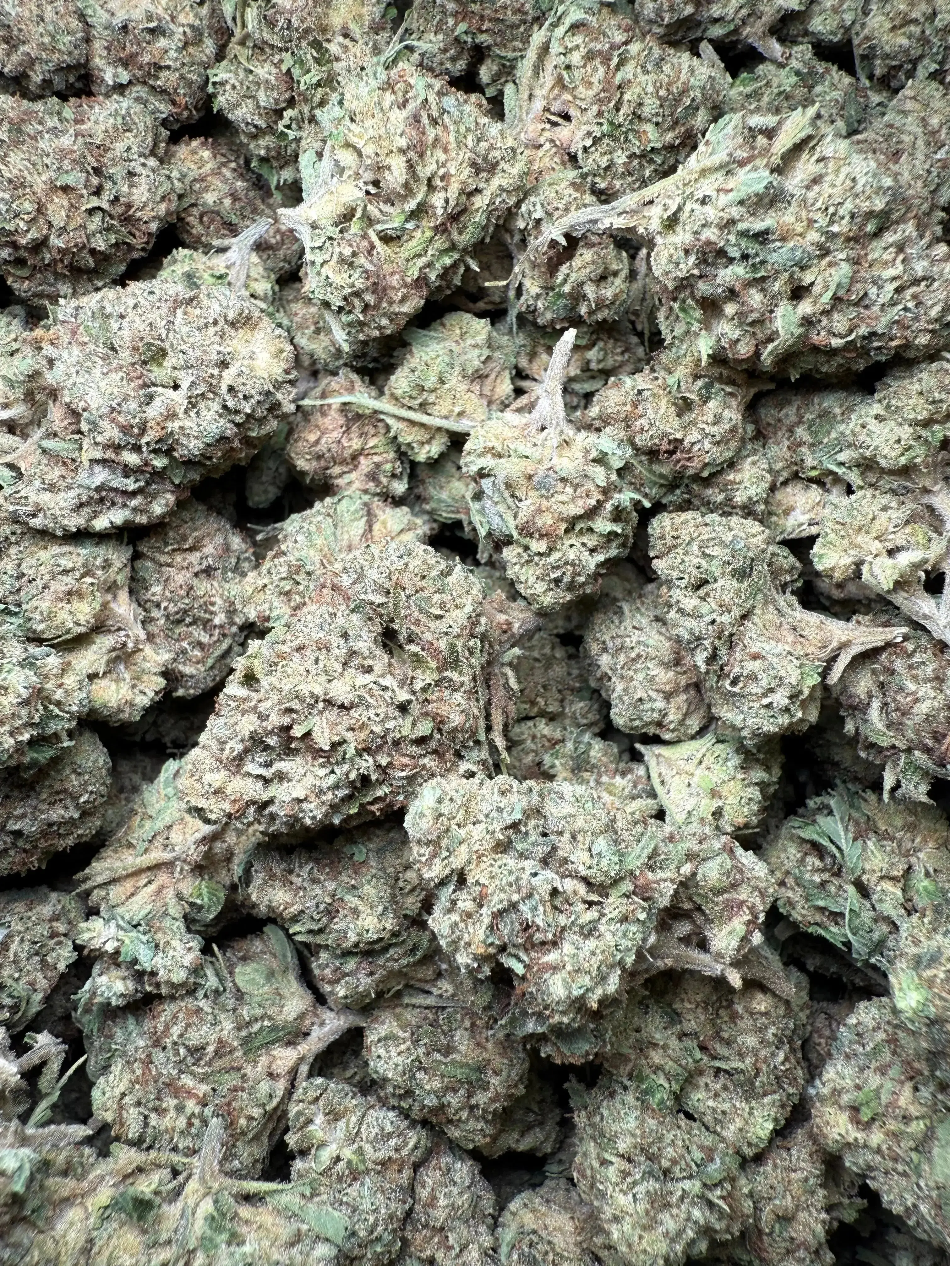 1/4 Pound Chocolate Kush THCA - Image 2