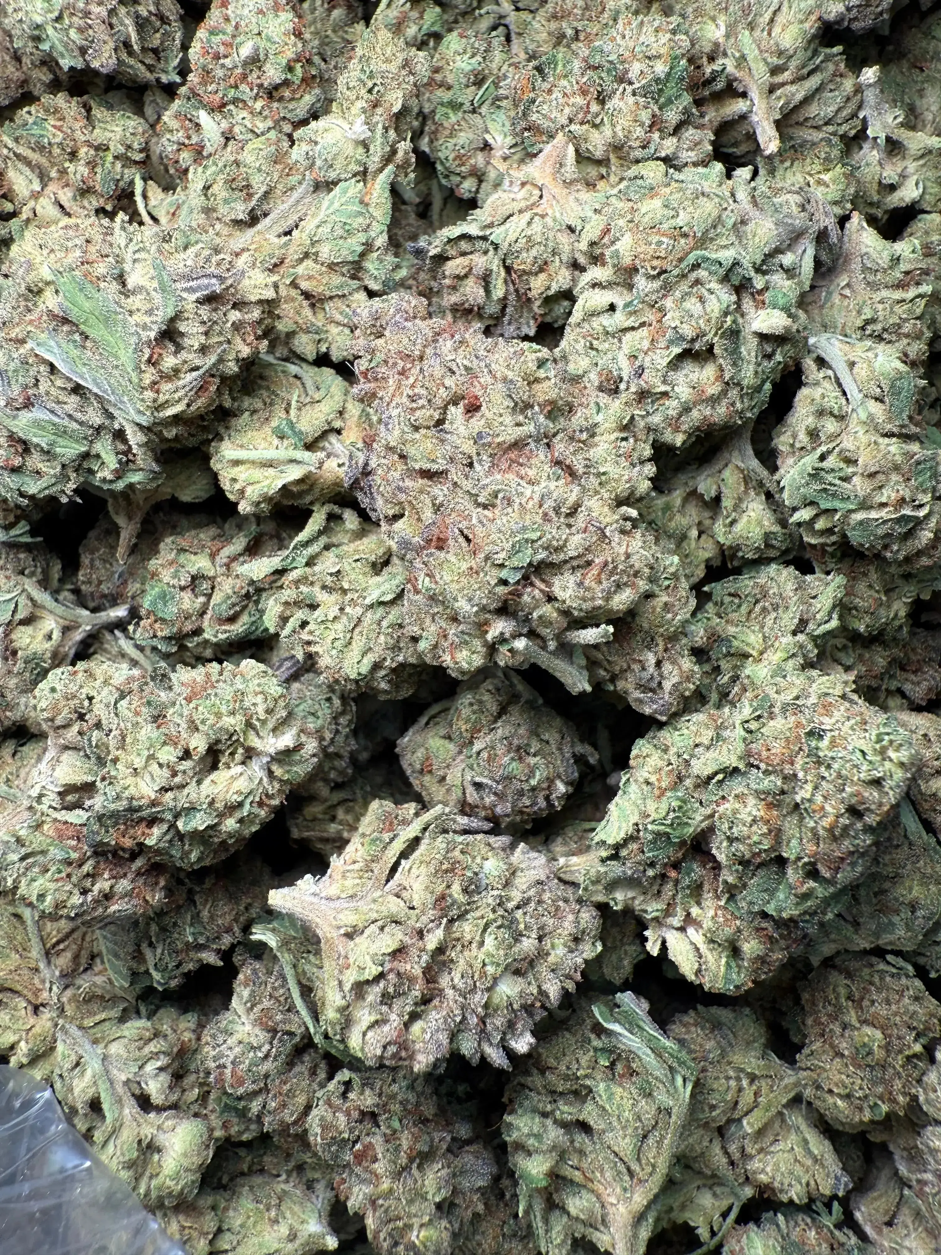 1 Pound Exotic Colour THCA - Image 2
