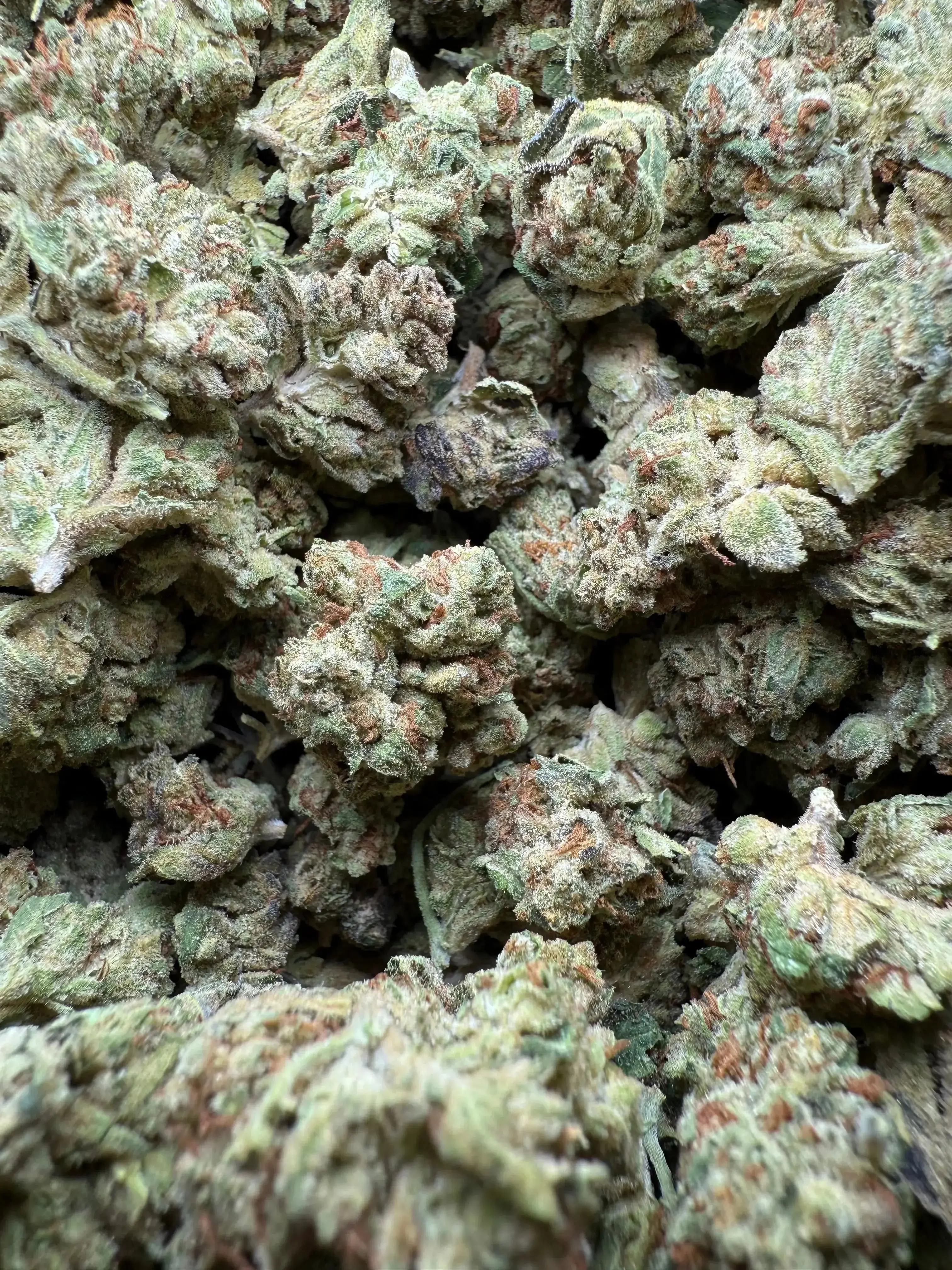 1 Pound Exotic Colour THCA (Small) - Image 4