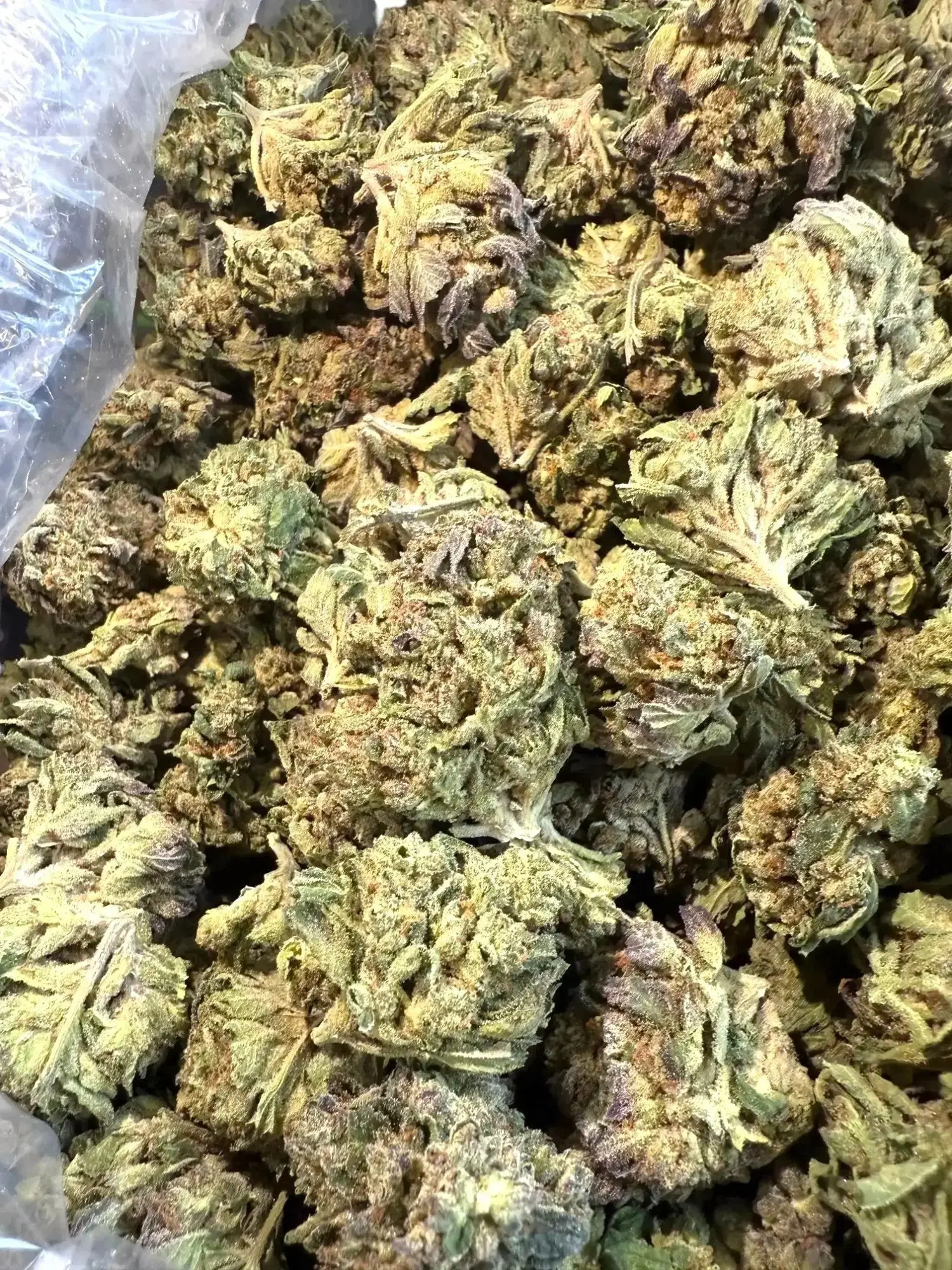 1/2 Pound GTI Blue THCA - Image 2