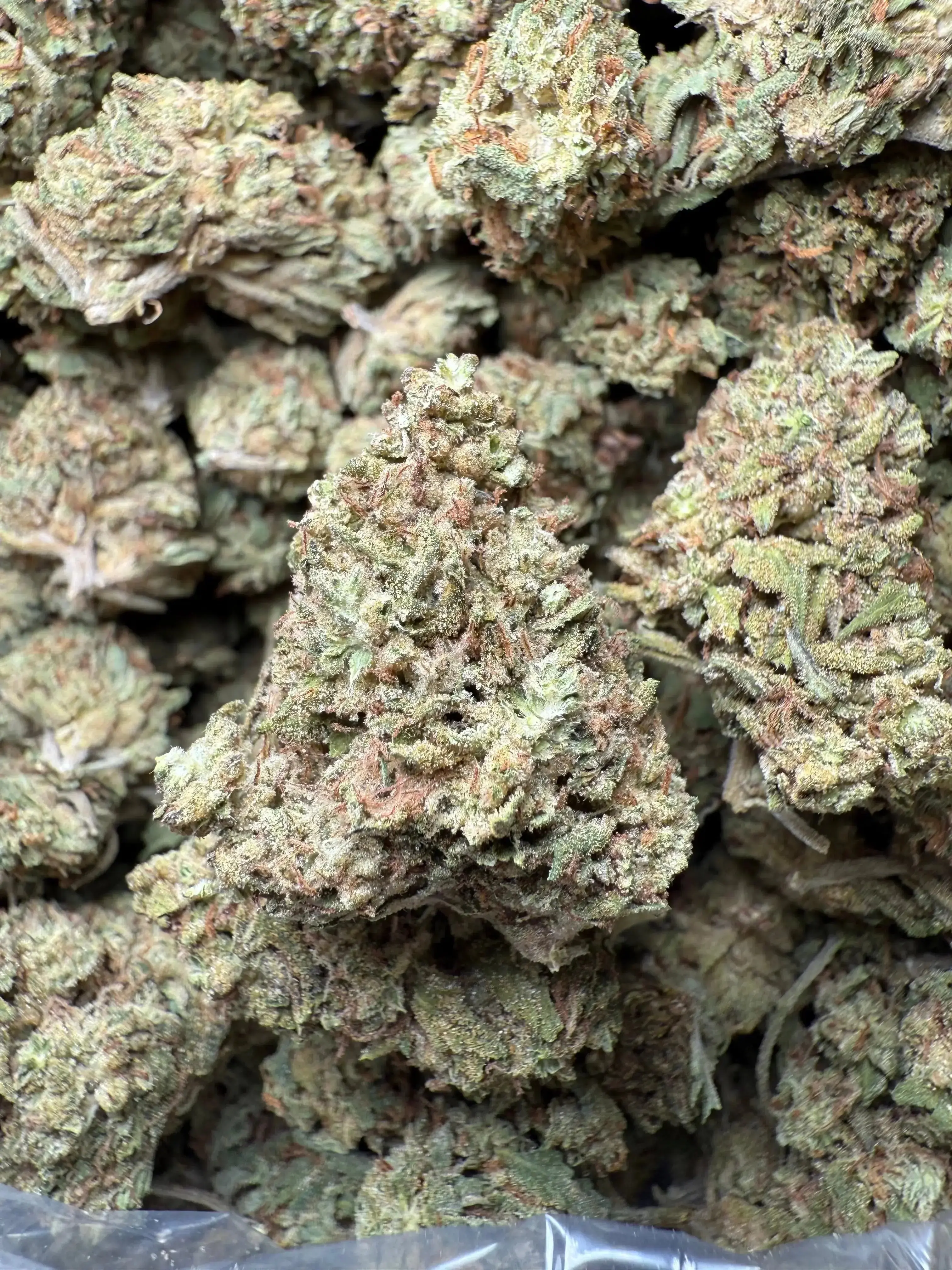1/2 Pound Han Solo THCA - Image 2