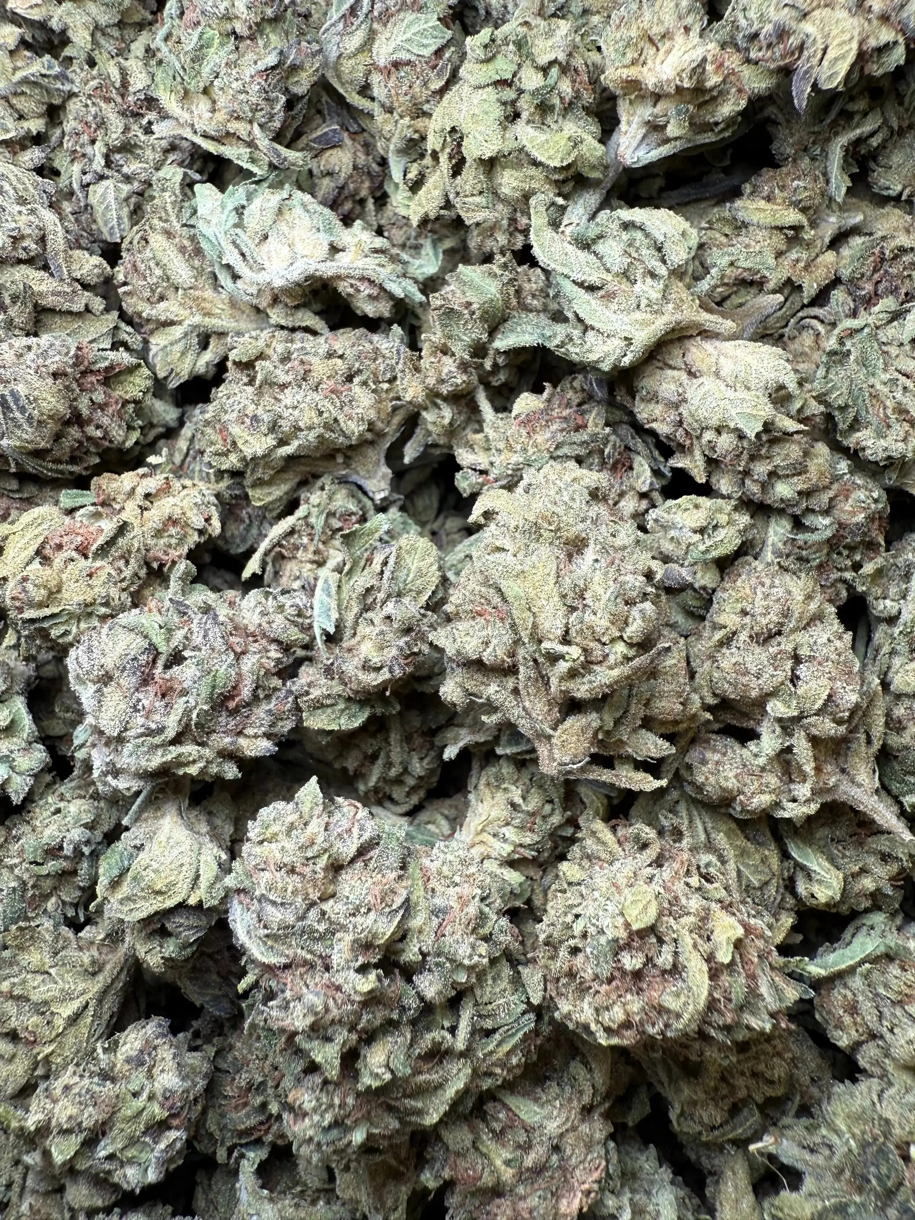 1/4 Pound  Lemon Cherry Gelato X Wedding Cake THCA - Image 2
