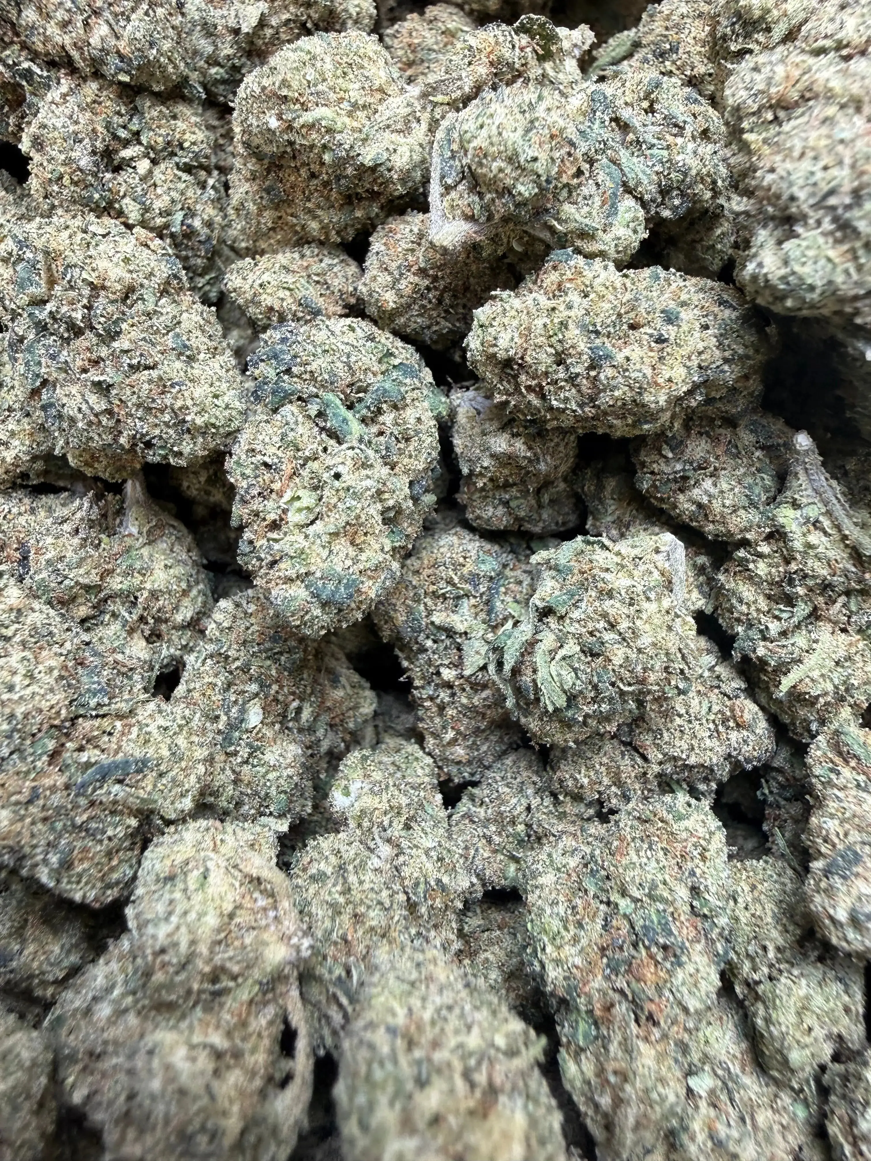 1/4 Pound Peanut Butter Souffle THCA Flower - Image 3