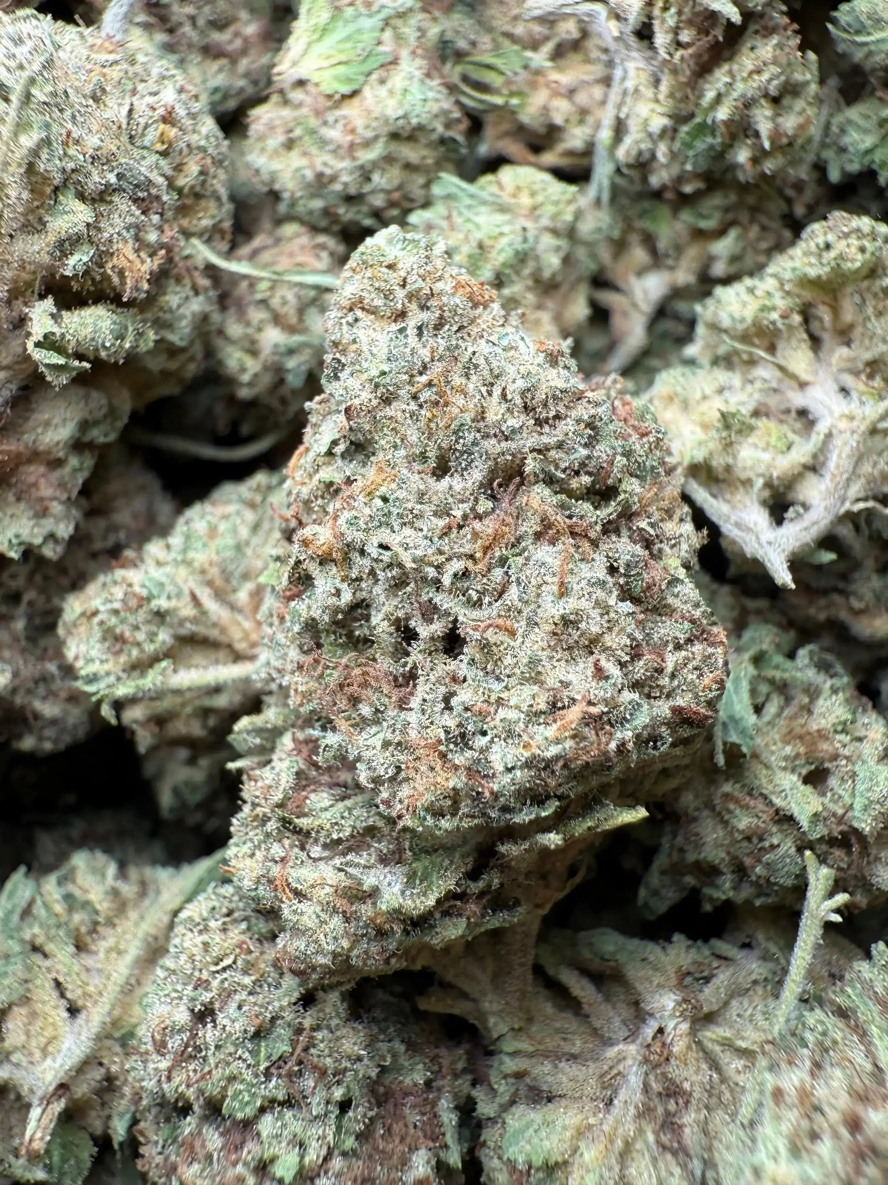 1/4 Pound Romulan Blueberry THCA - Image 2