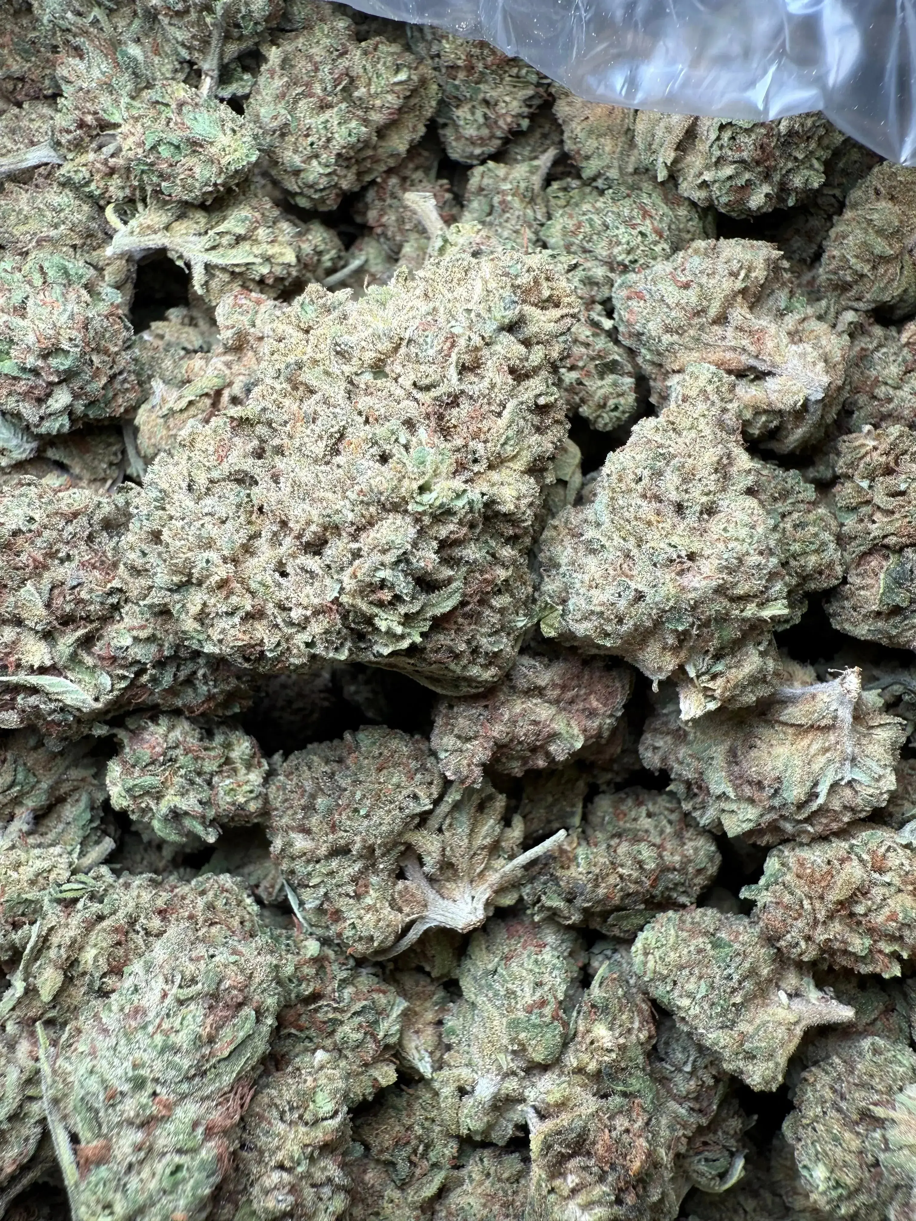 1/4 Pound Romulan Blueberry THCA - Image 4