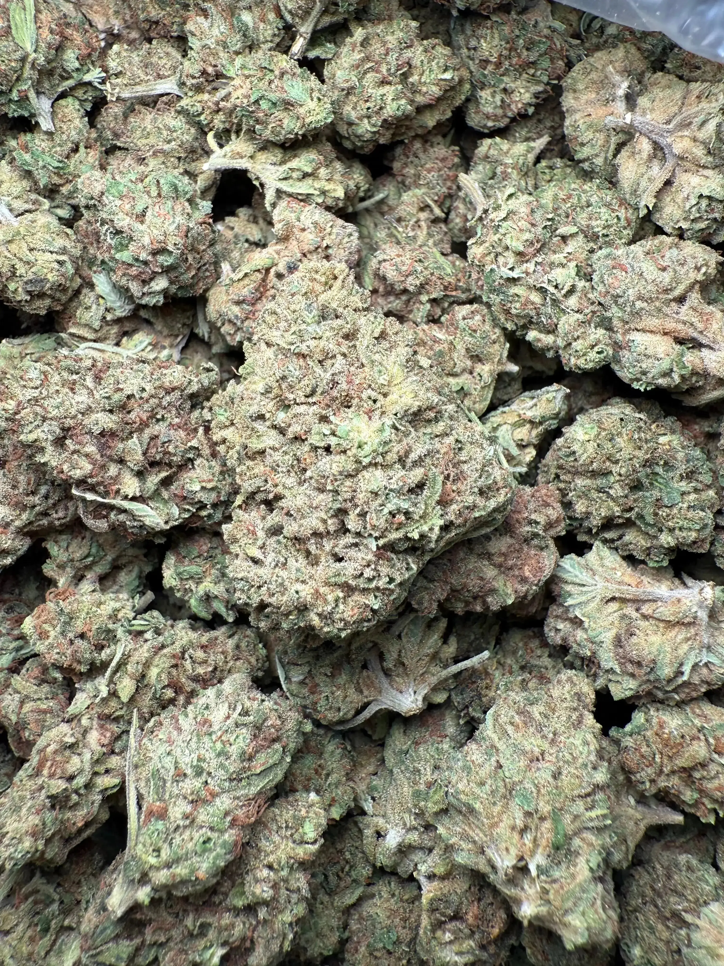 1/4 Pound Romulan Blueberry THCA - Image 5