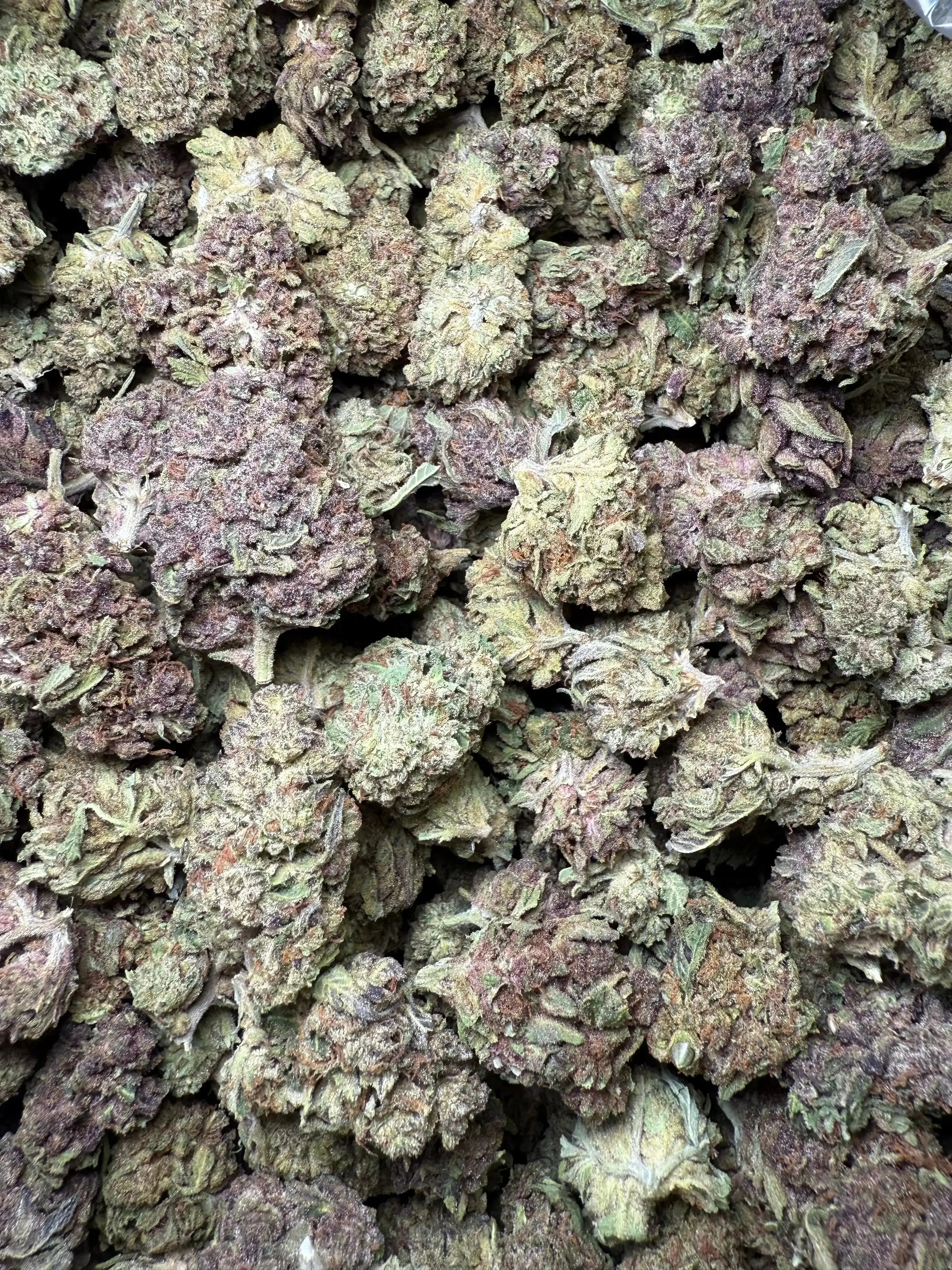 1 Pound Tropical Zmoothie THCA - Image 3