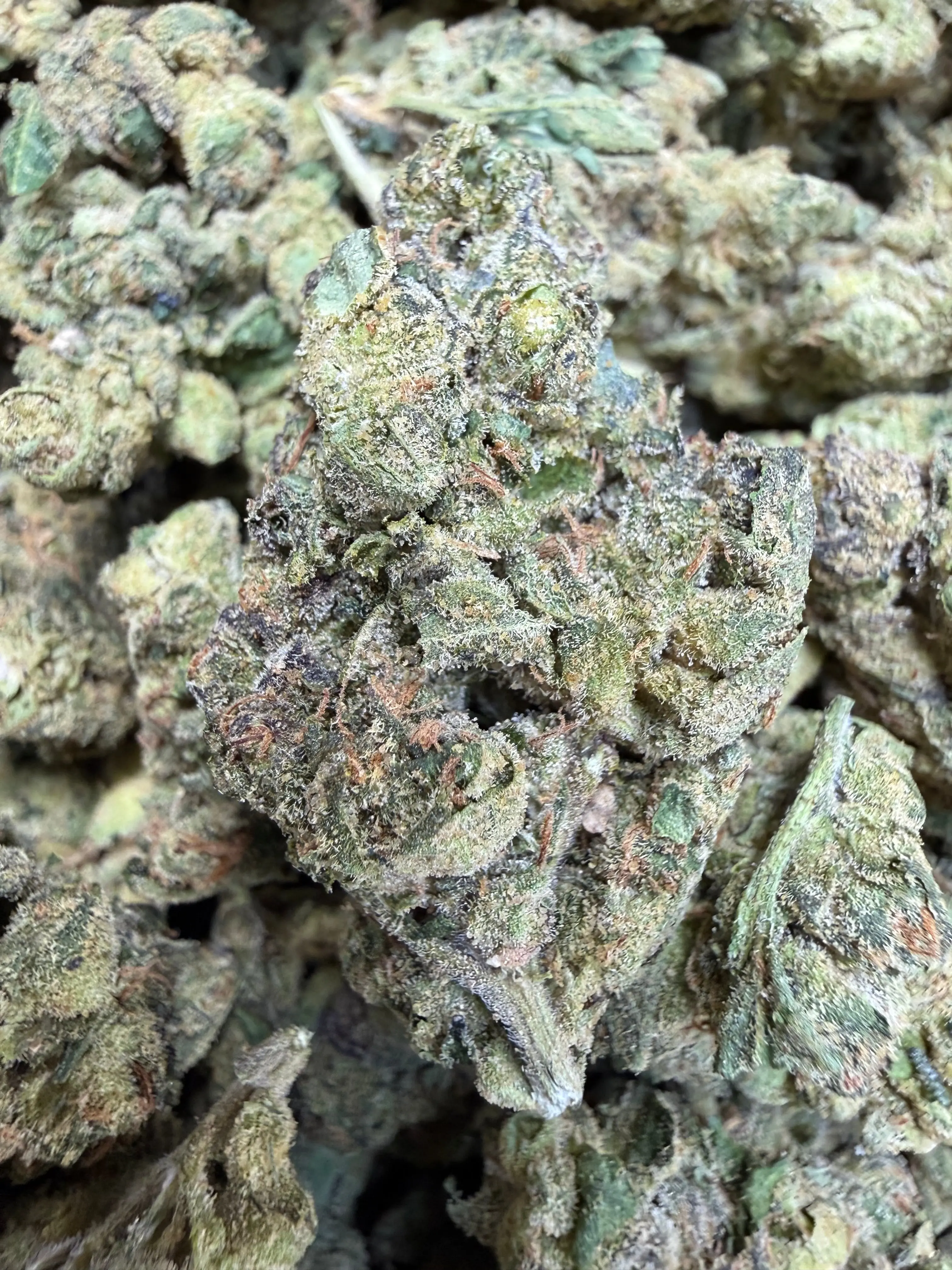 1 Pound - Chimera THCA Strain - Image 2