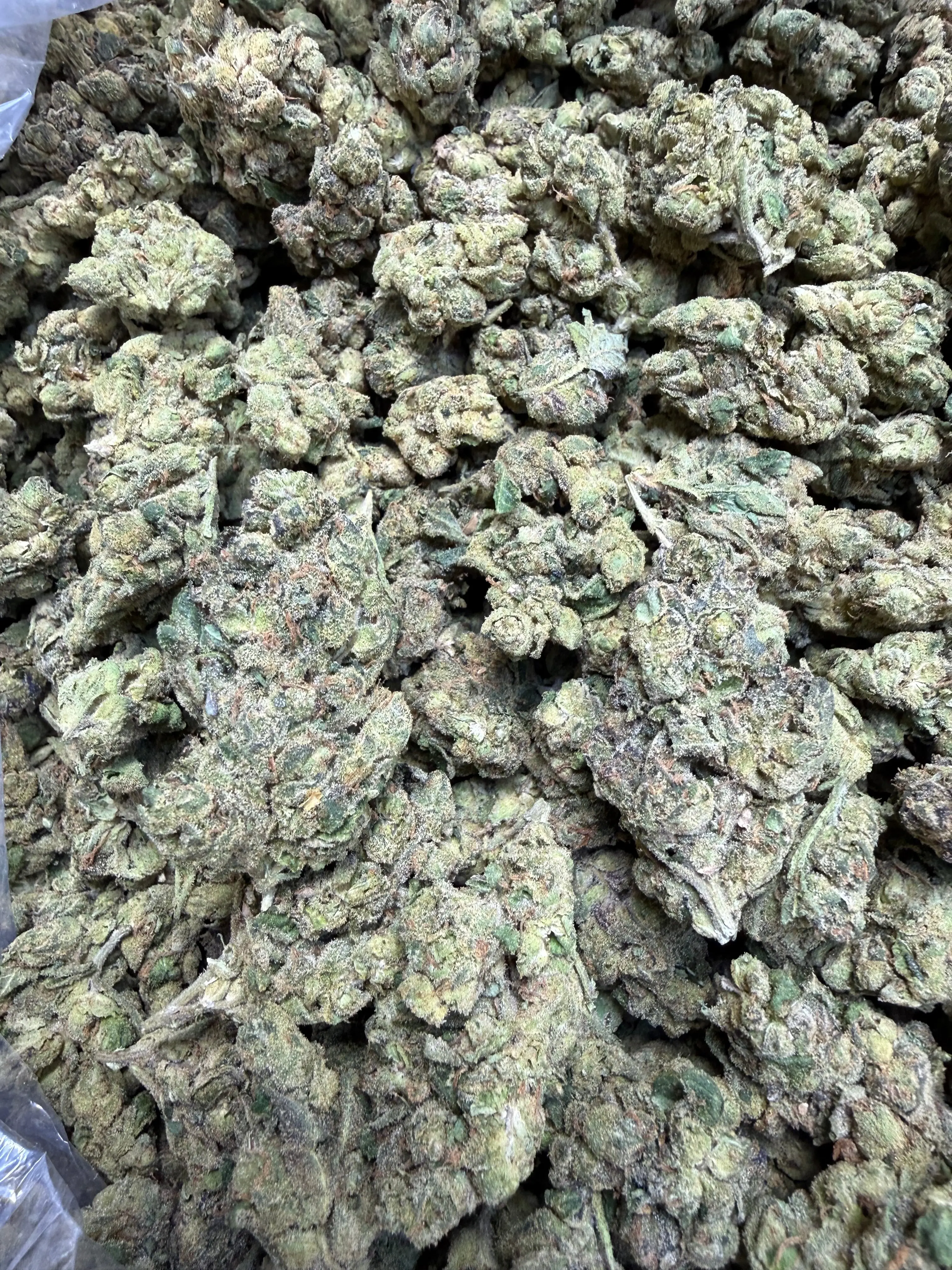 1 Pound - Chimera THCA Strain - Image 3