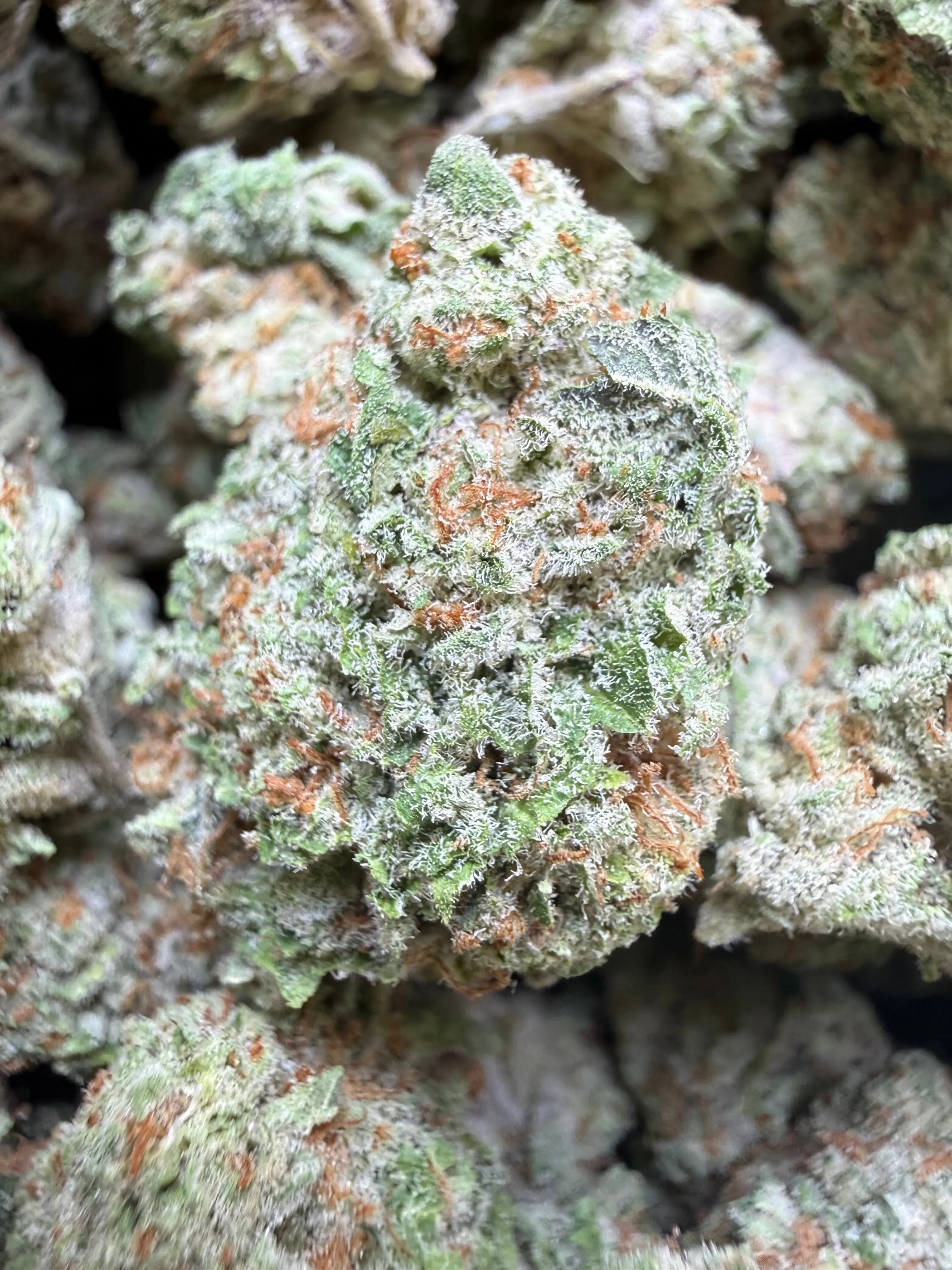 1/4 Pound Mango Tango THCA Flower - Image 3