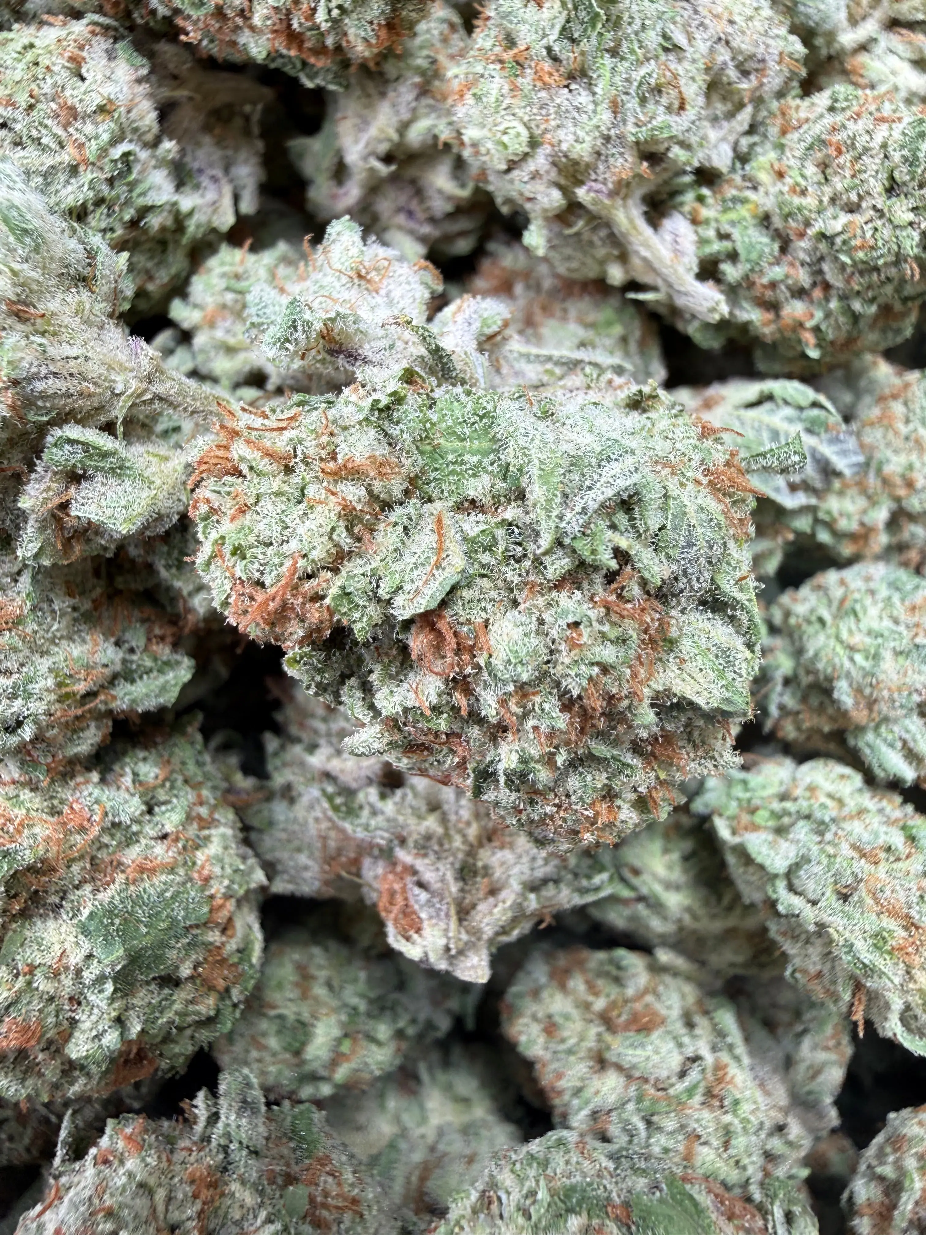 1/4 Pound Mango Tango THCA Flower - Image 4