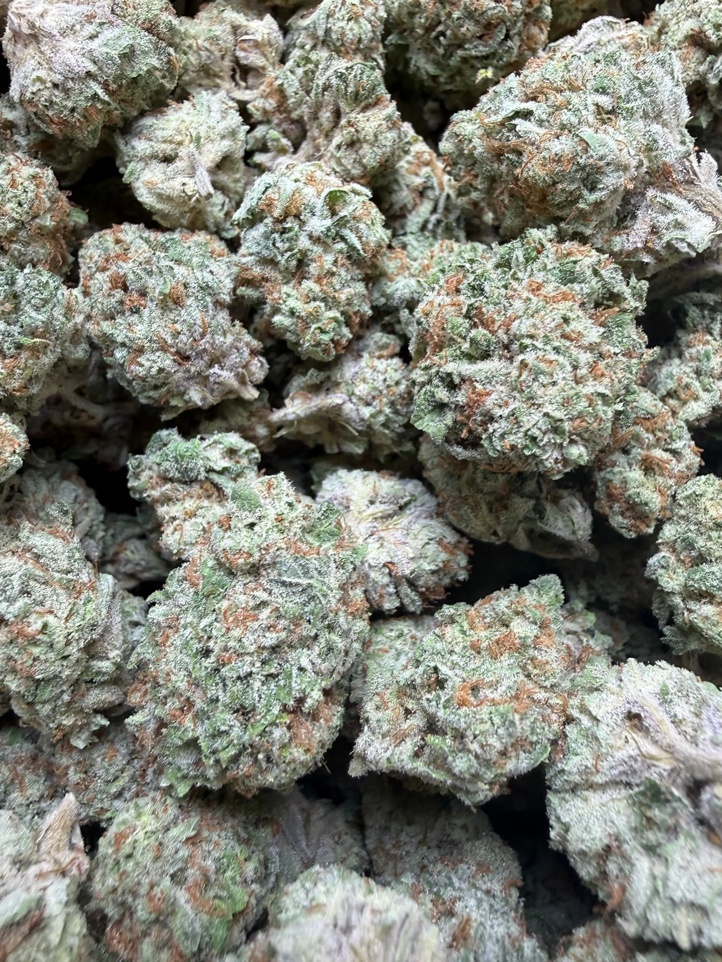 1/4 Pound Mango Tango THCA Flower - Image 6