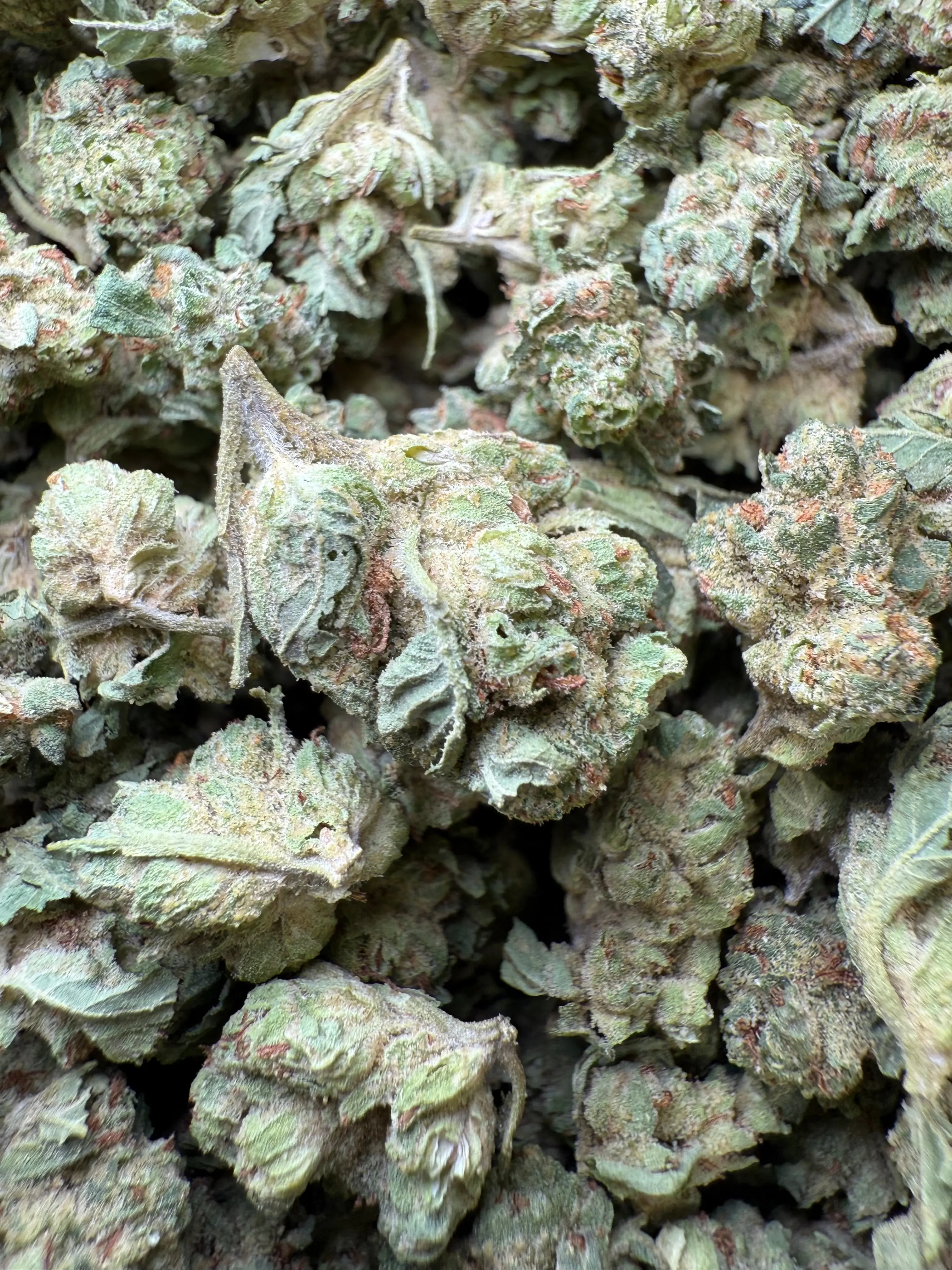 1 Pound - Chem OG (Small)
