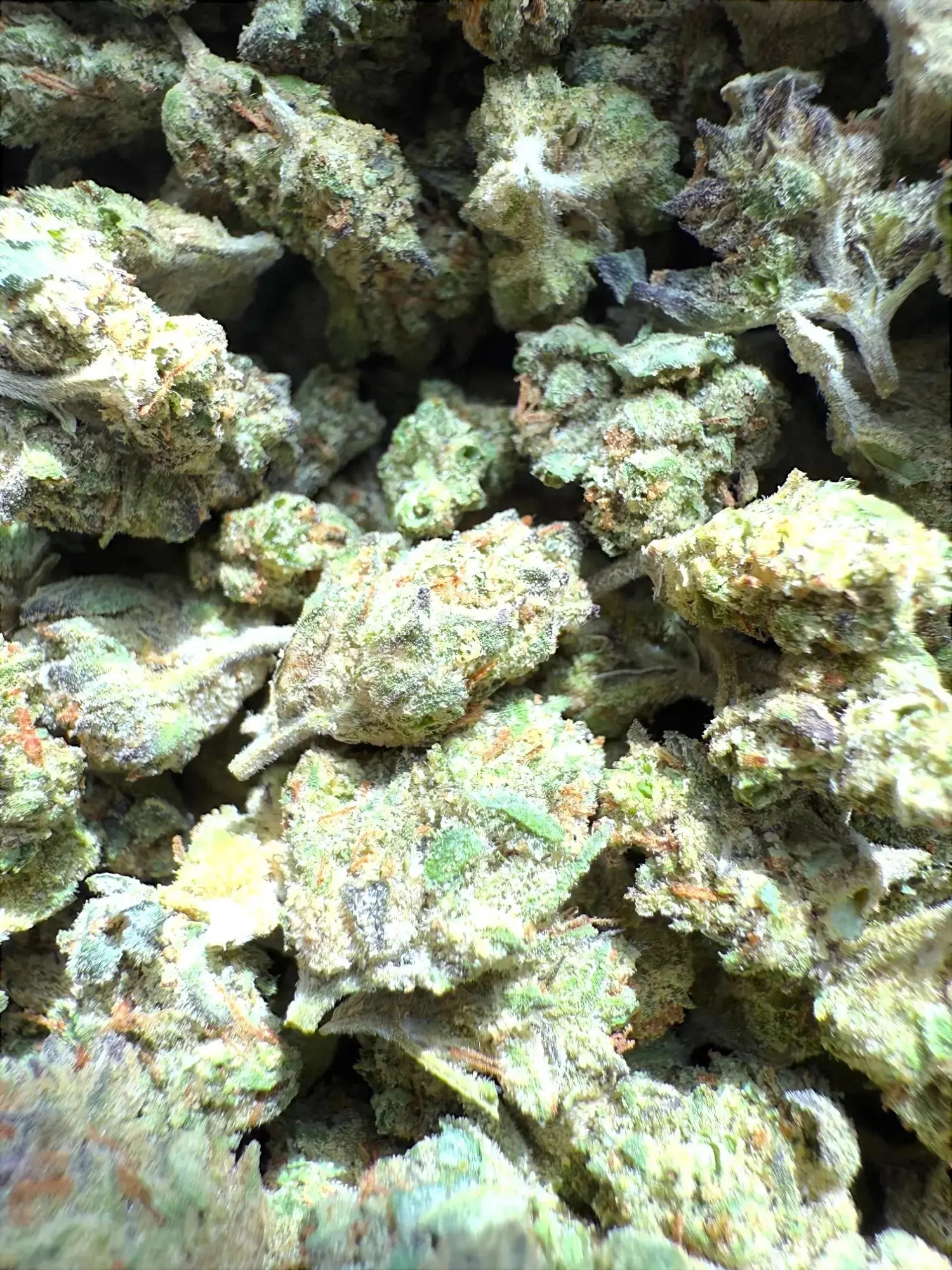 1 Pound - AAA Exotic Pink Runtz THCA (Smalls) - Image 2