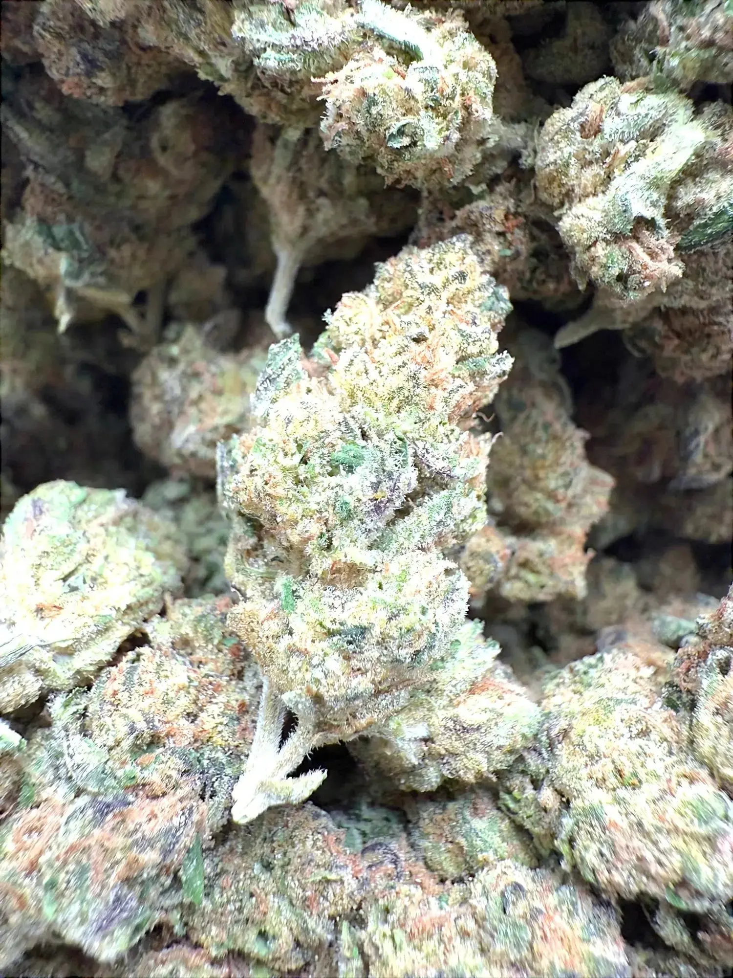 1 Pound - AAA Indoor Exotic - Grape Gas THCA Strain - Image 2