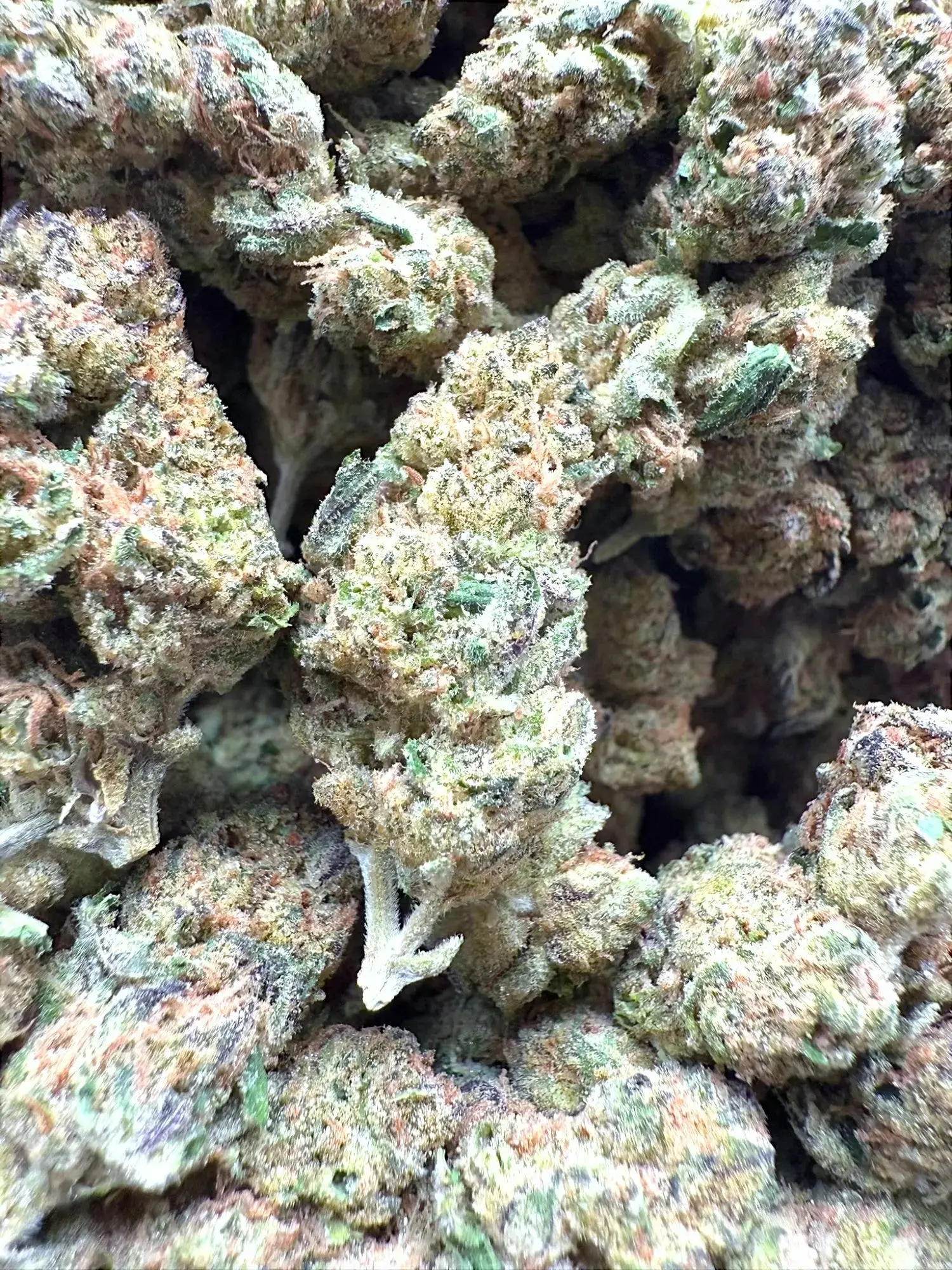 1 Pound - AAA Indoor Exotic - Grape Gas THCA Strain - Image 3