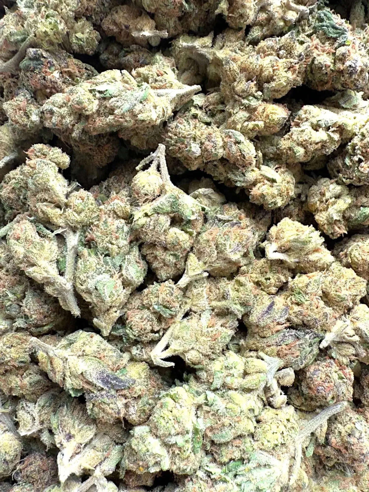 1 Pound - AAA Indoor Exotic - Grape Gas THCA Strain - Image 4