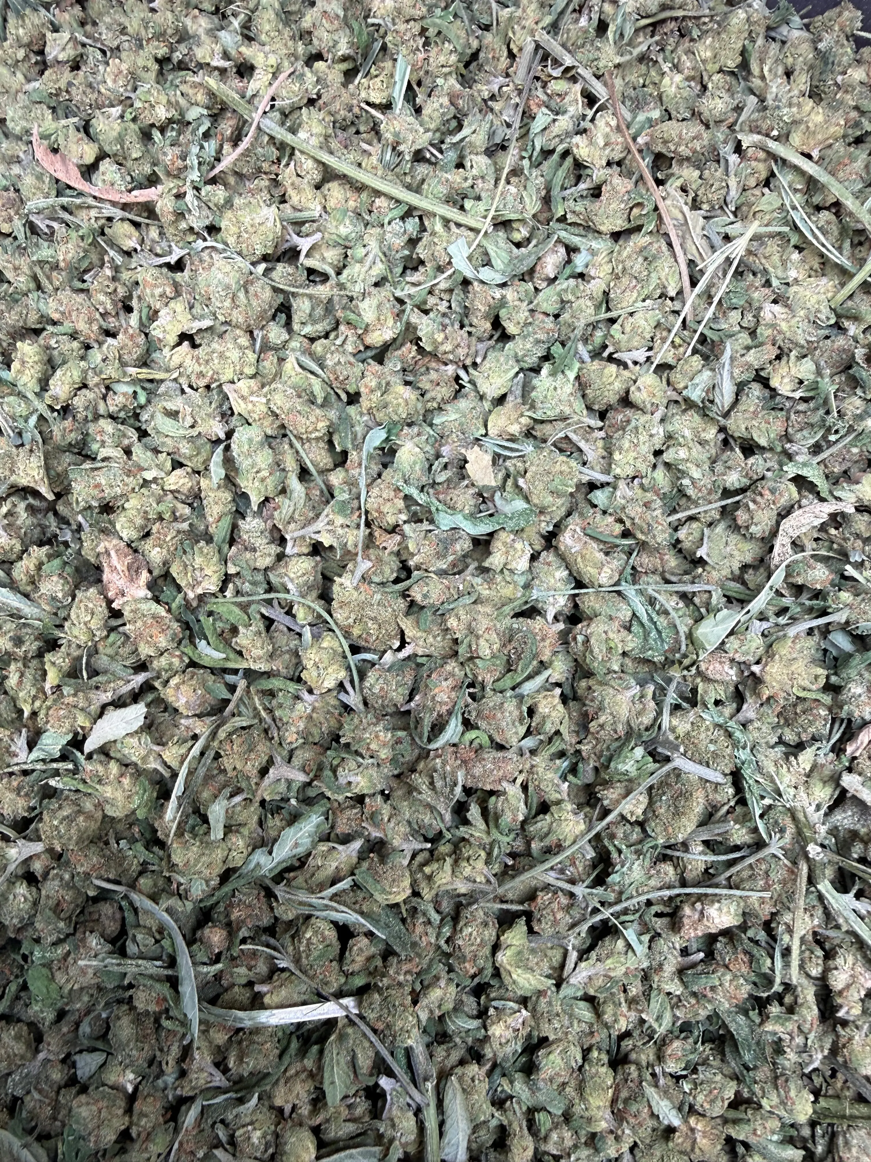 1 Pound - Blue Dream THCA Strain (Micro) - Image 2
