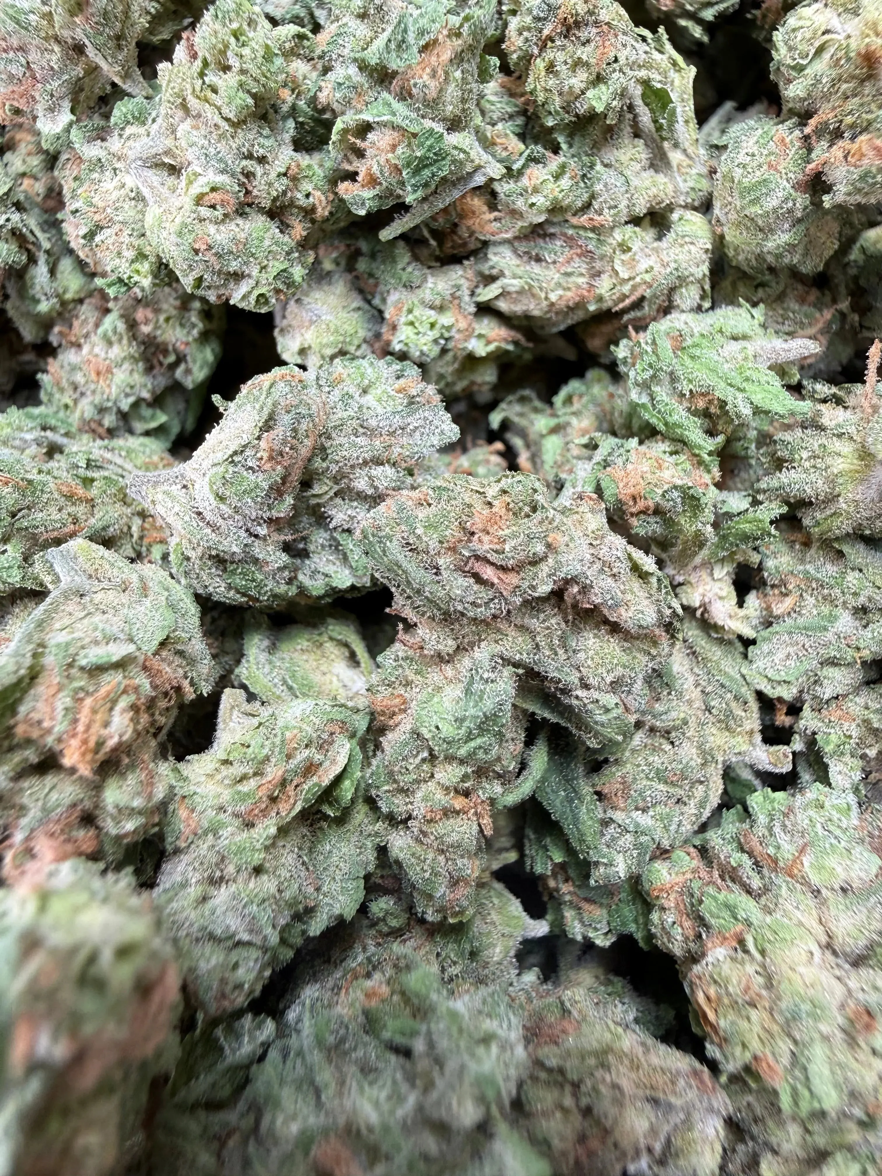 1 Pound -  Blue Dream THCA Strain (Small) - Image 2