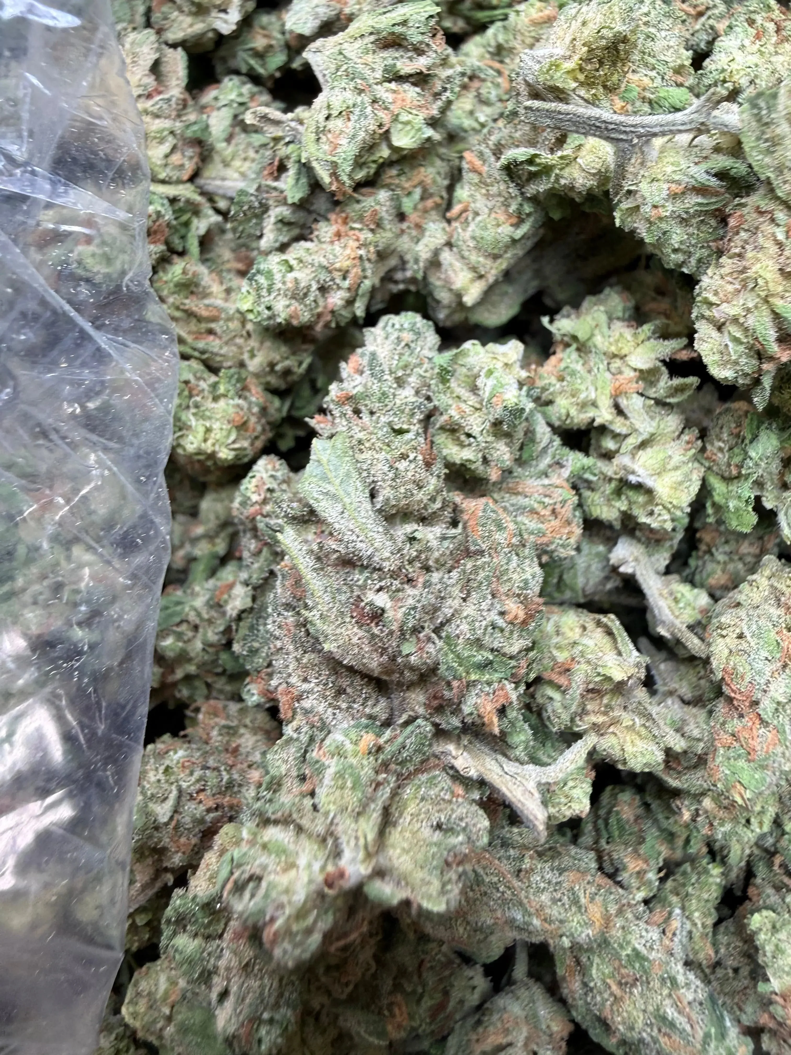 1 Pound -  Blue Dream THCA Strain (Small) - Image 4