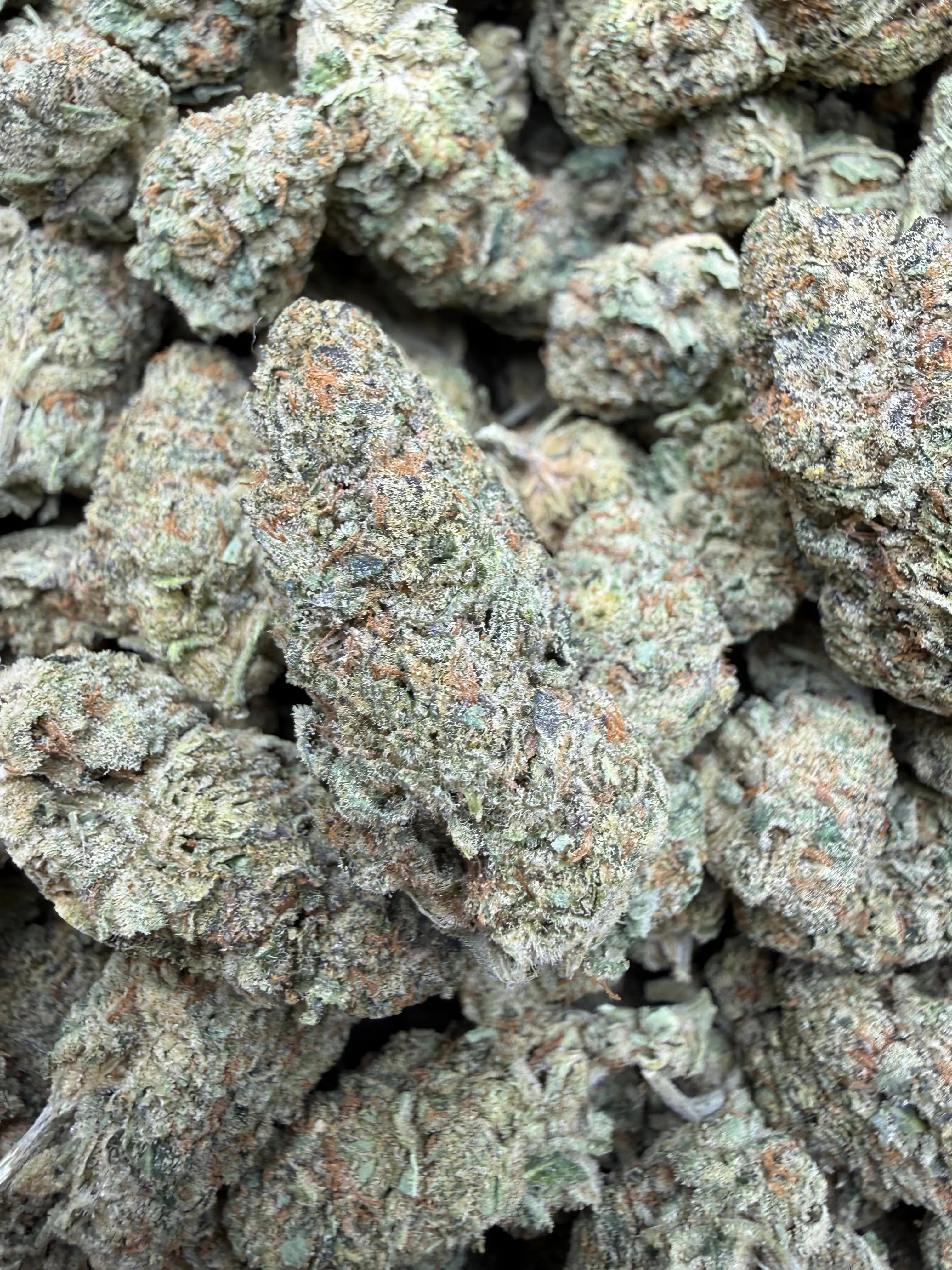 1 Pound - Blue Slurpee THCA Flower - Image 2