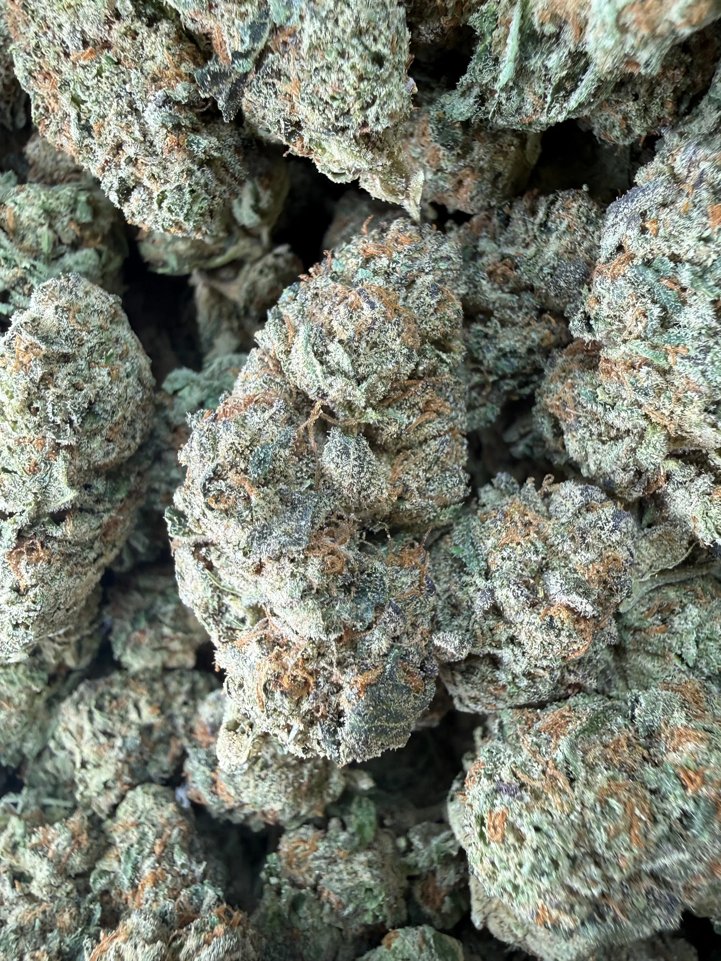 1 Pound -  Cereal Milk THCA Flower - Image 2