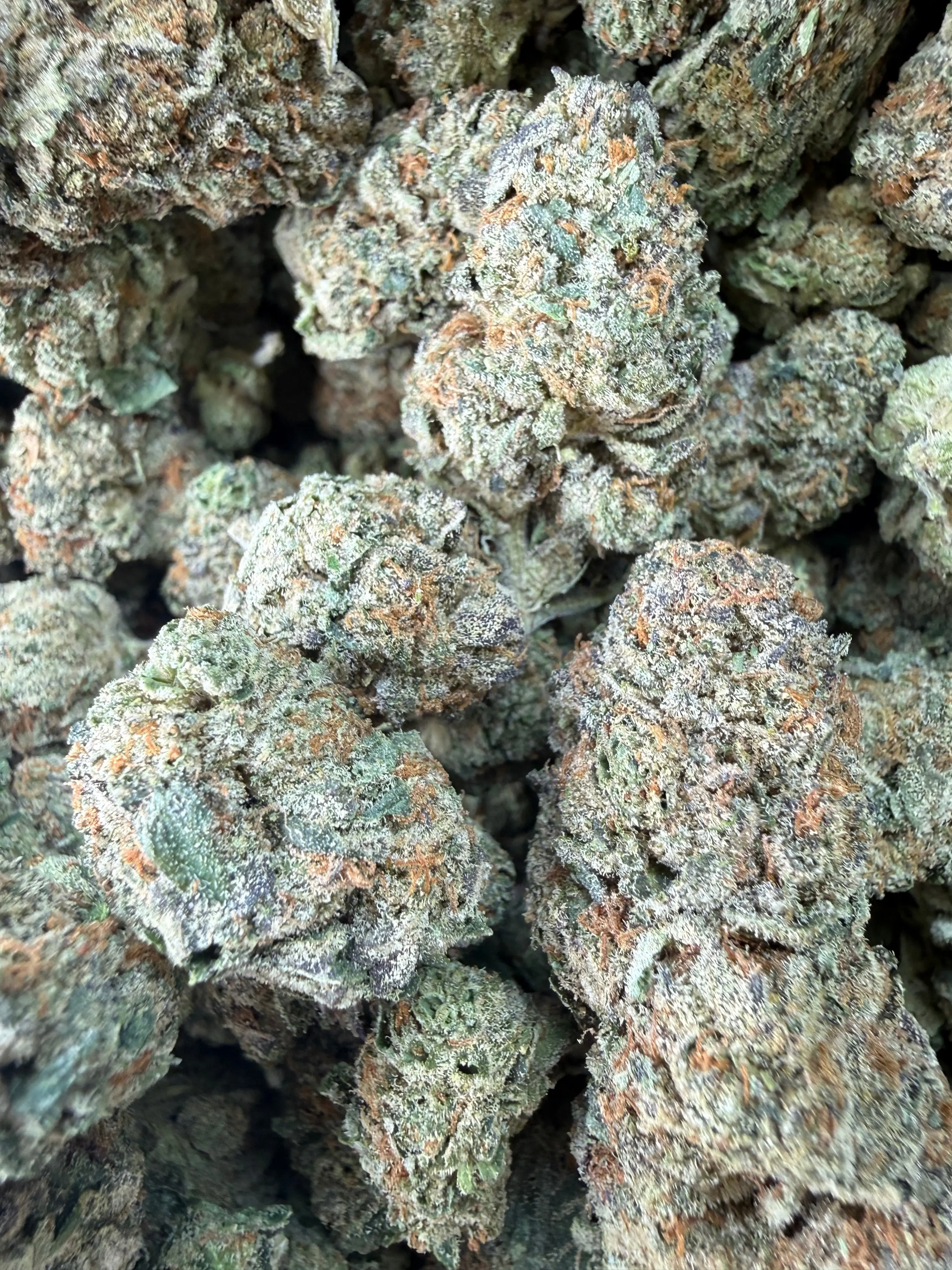 1 Pound -  Cereal Milk THCA Flower - Image 3