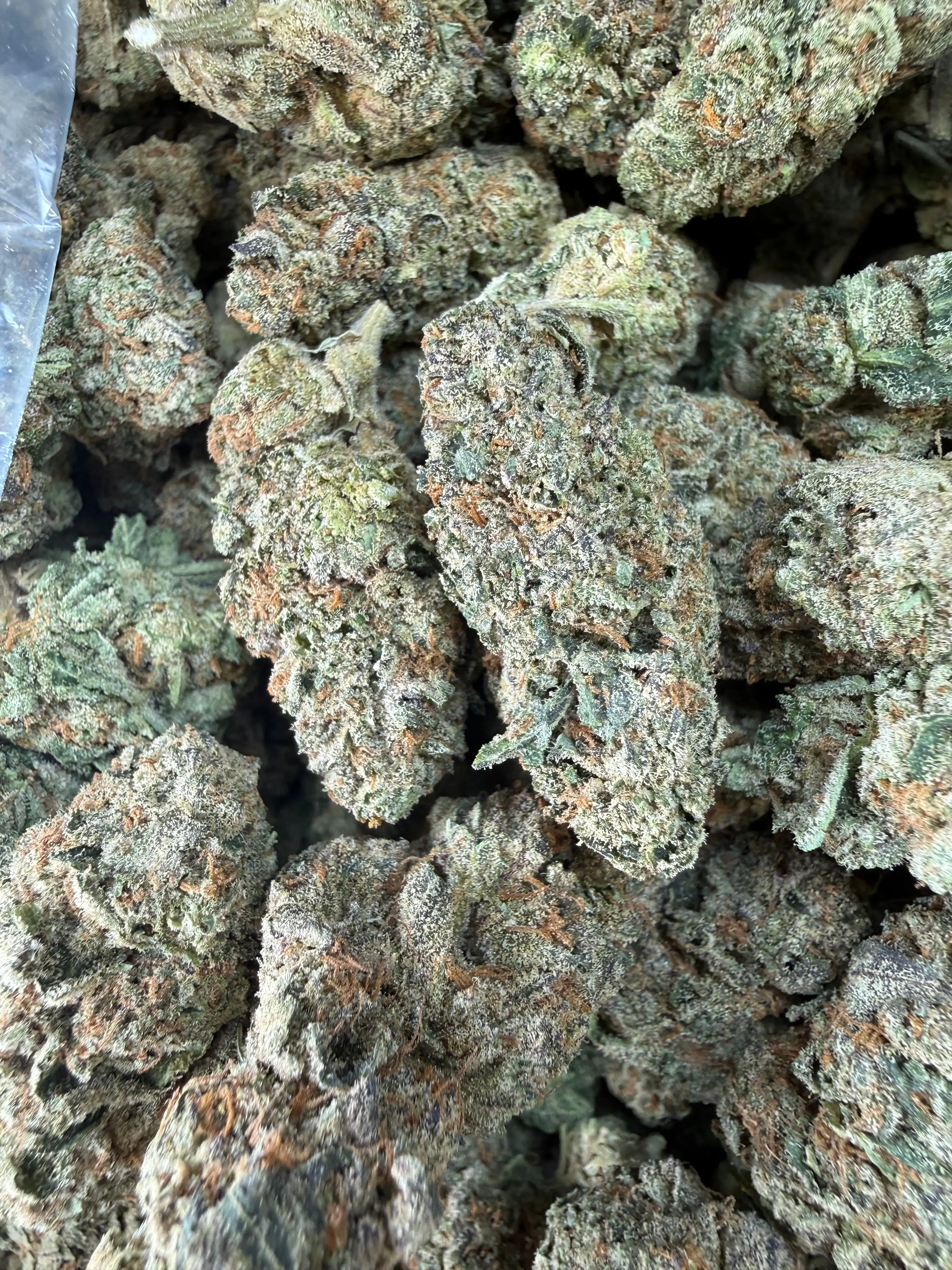 1 Pound -  Cereal Milk THCA Flower - Image 4