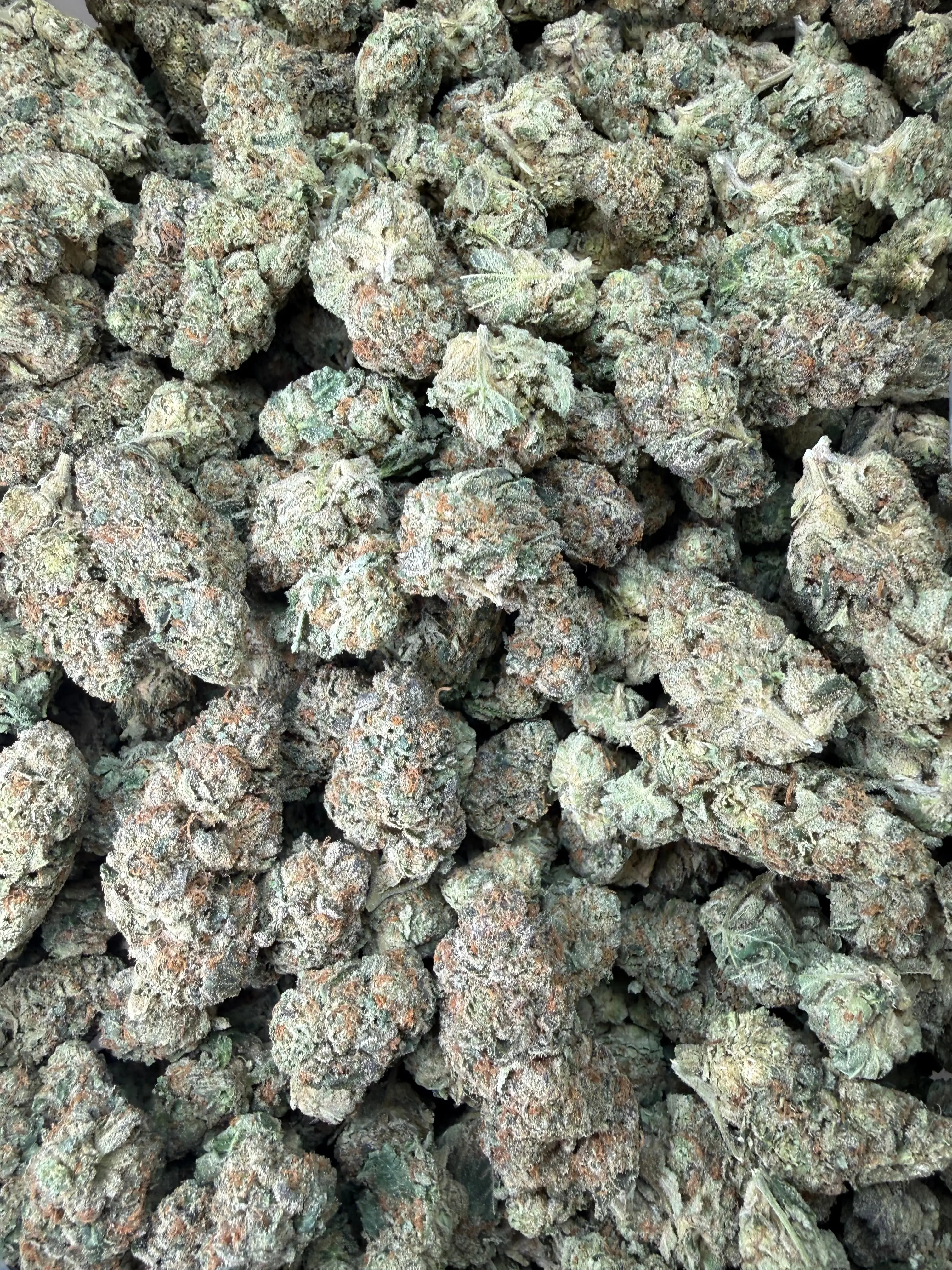 1 Pound -  Cereal Milk THCA Flower - Image 5