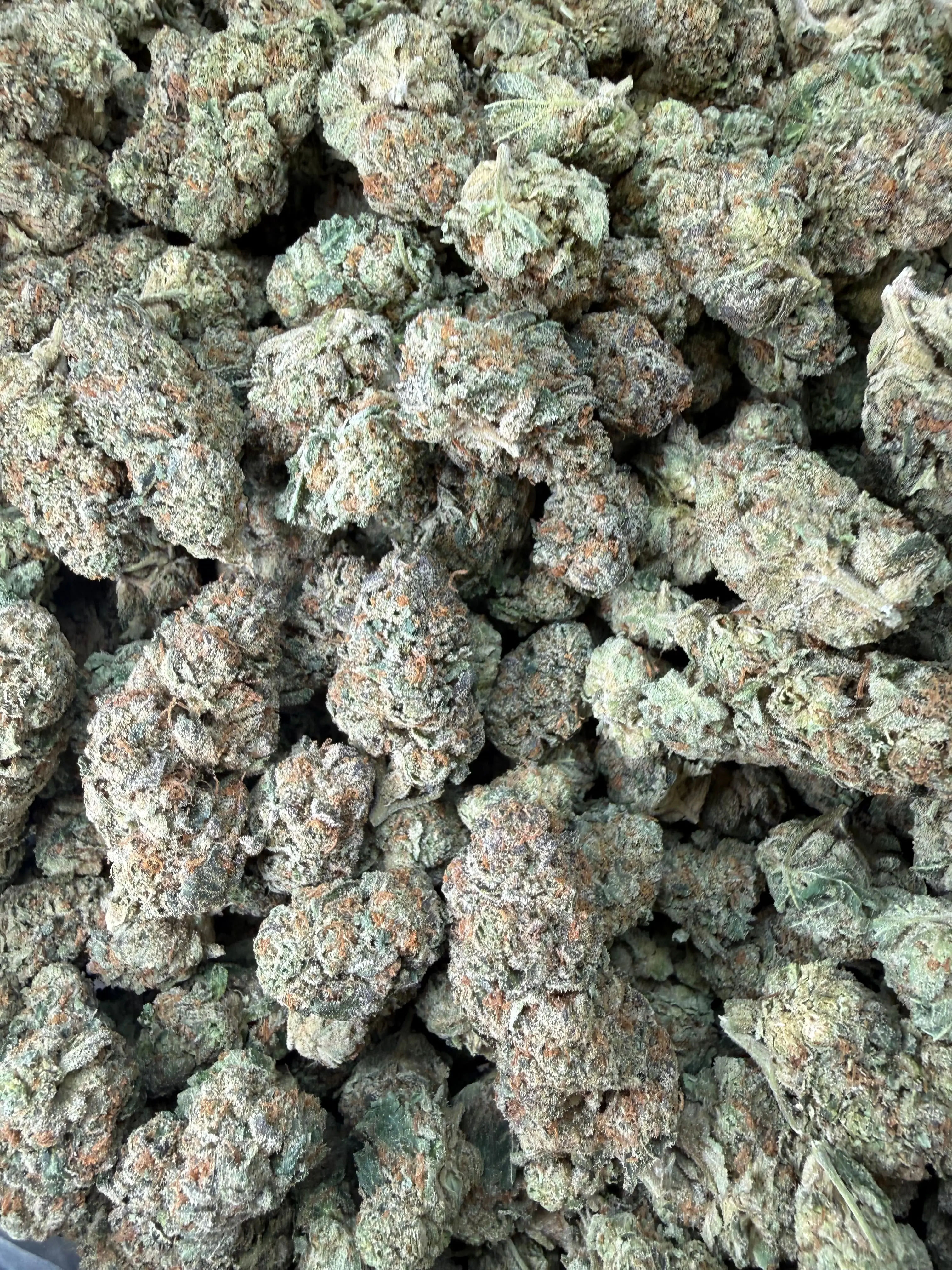 1 Pound -  Cereal Milk THCA Flower - Image 6