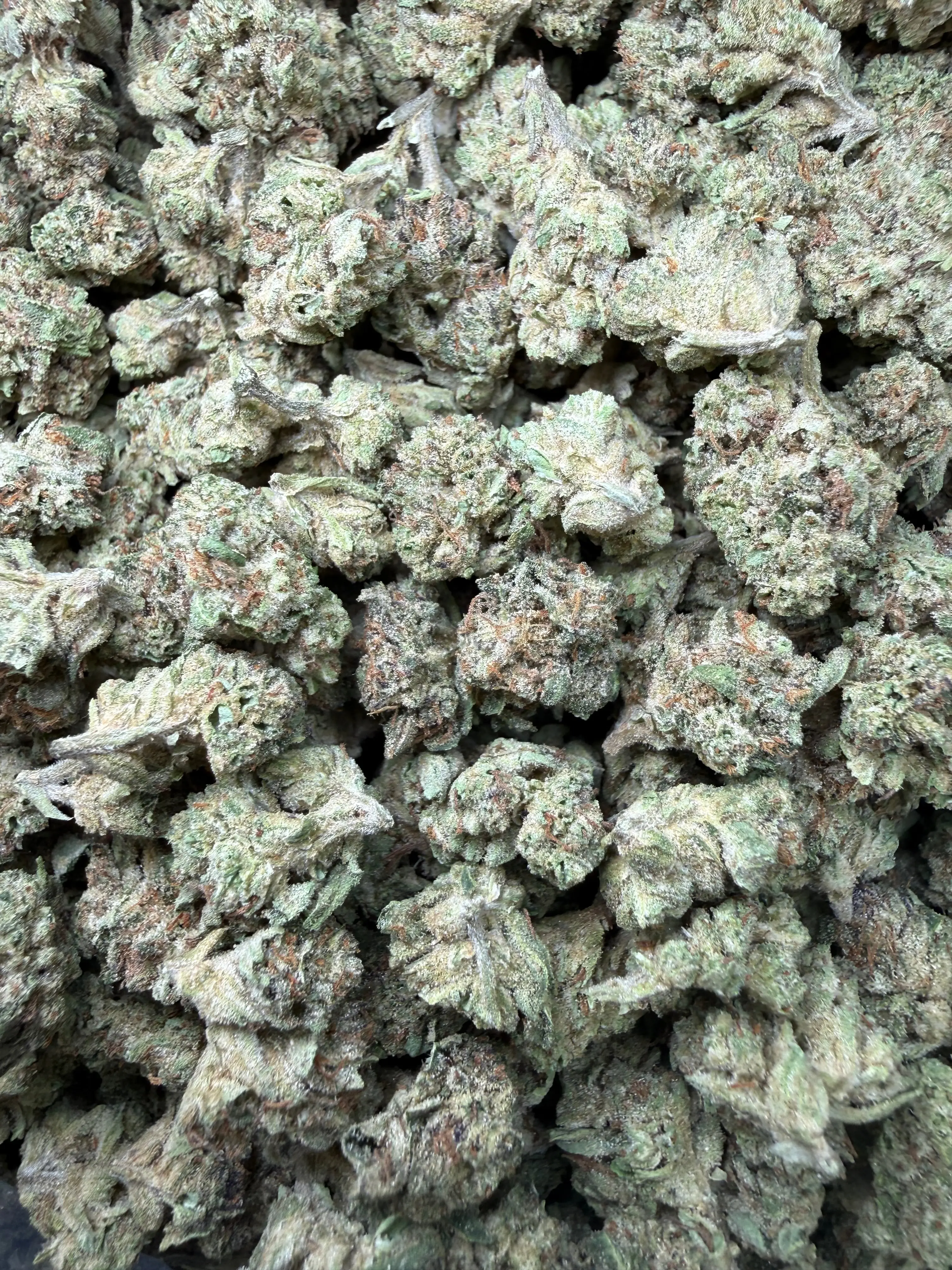 1 Pound -  Cereal Milk THCA Strain (Small) - Image 2