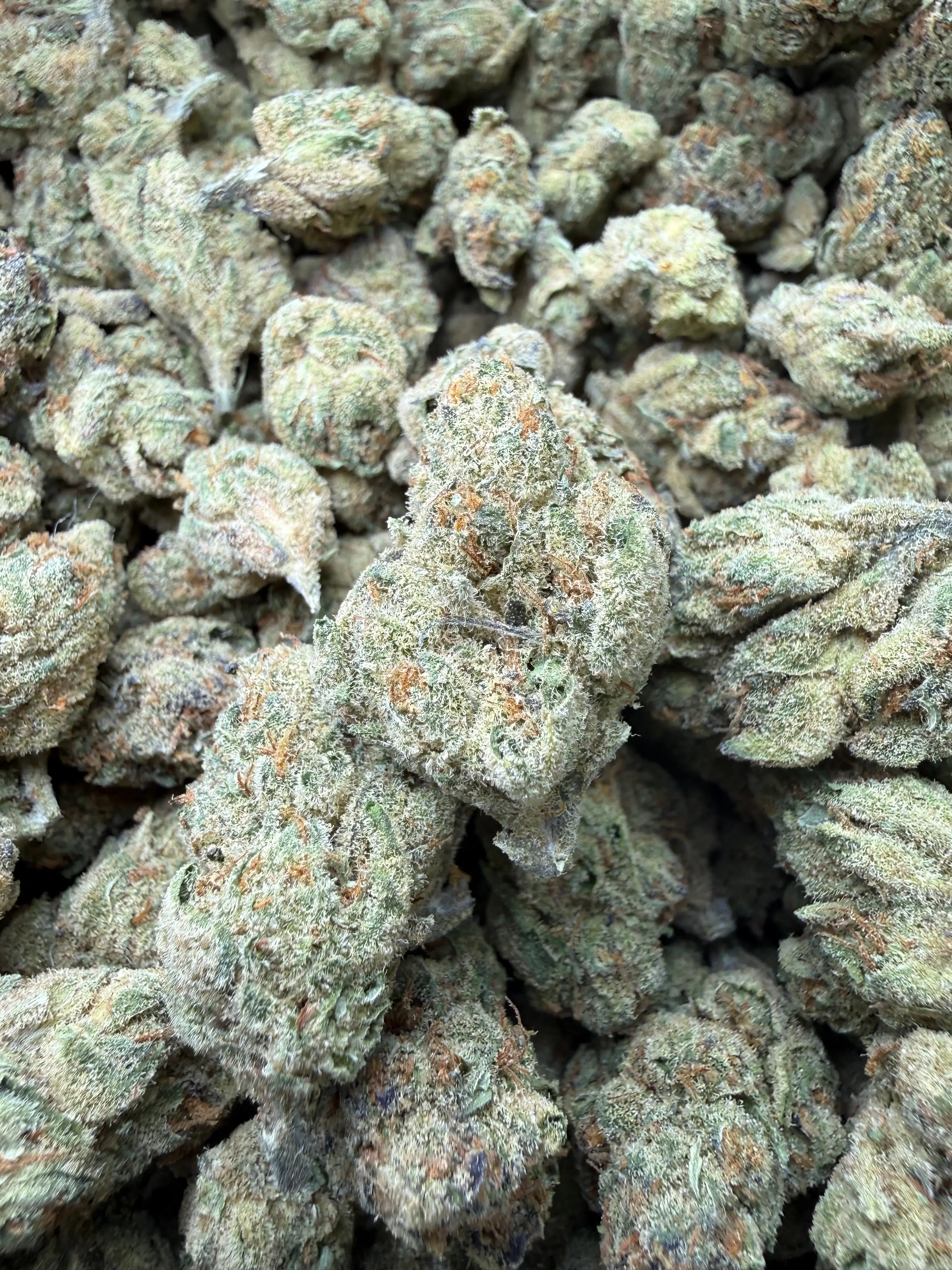 1 Pound - Cheetah Piss THCA Flower - Image 4
