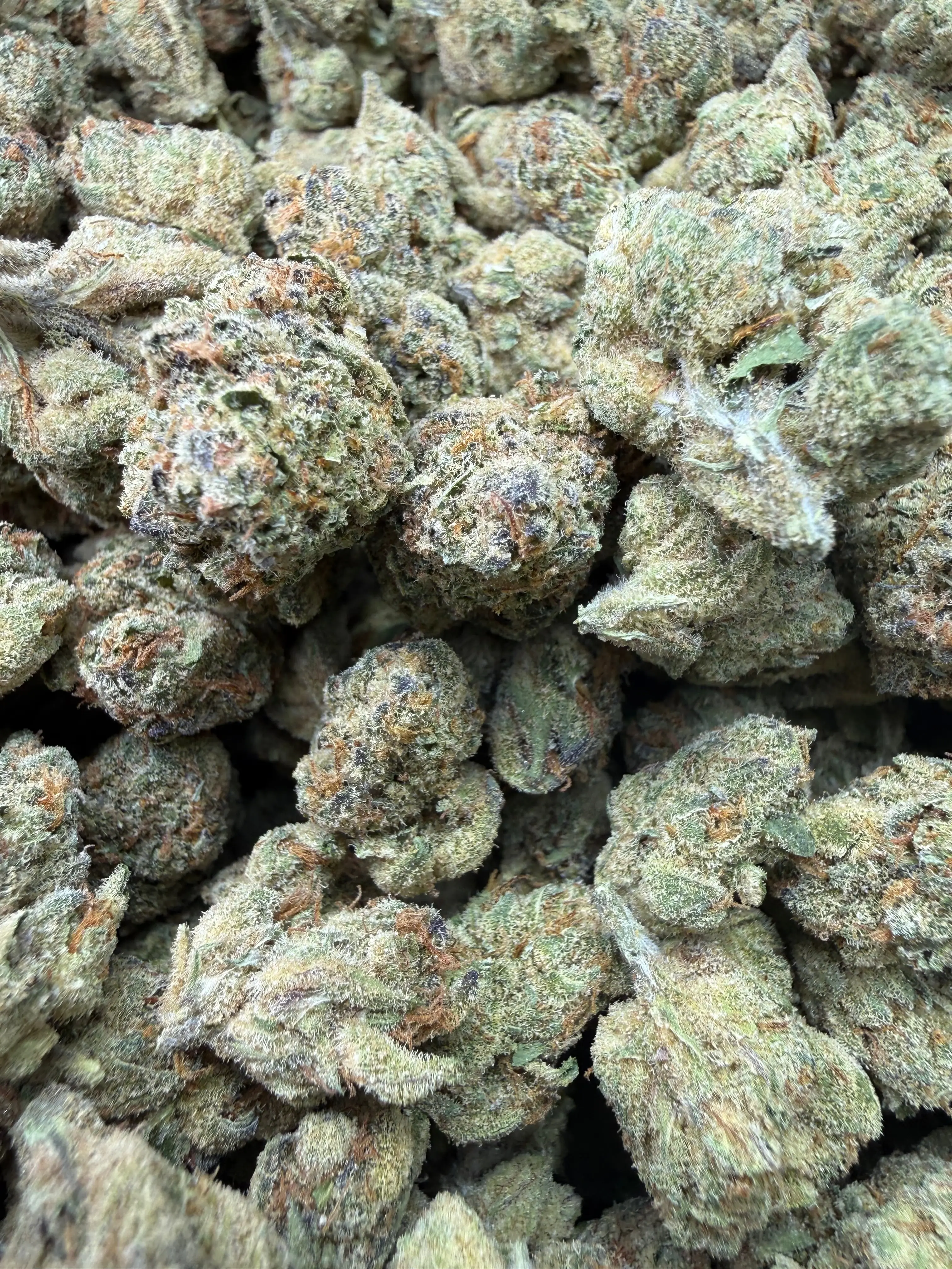 1 Pound - Cheetah Piss THCA Flower - Image 6